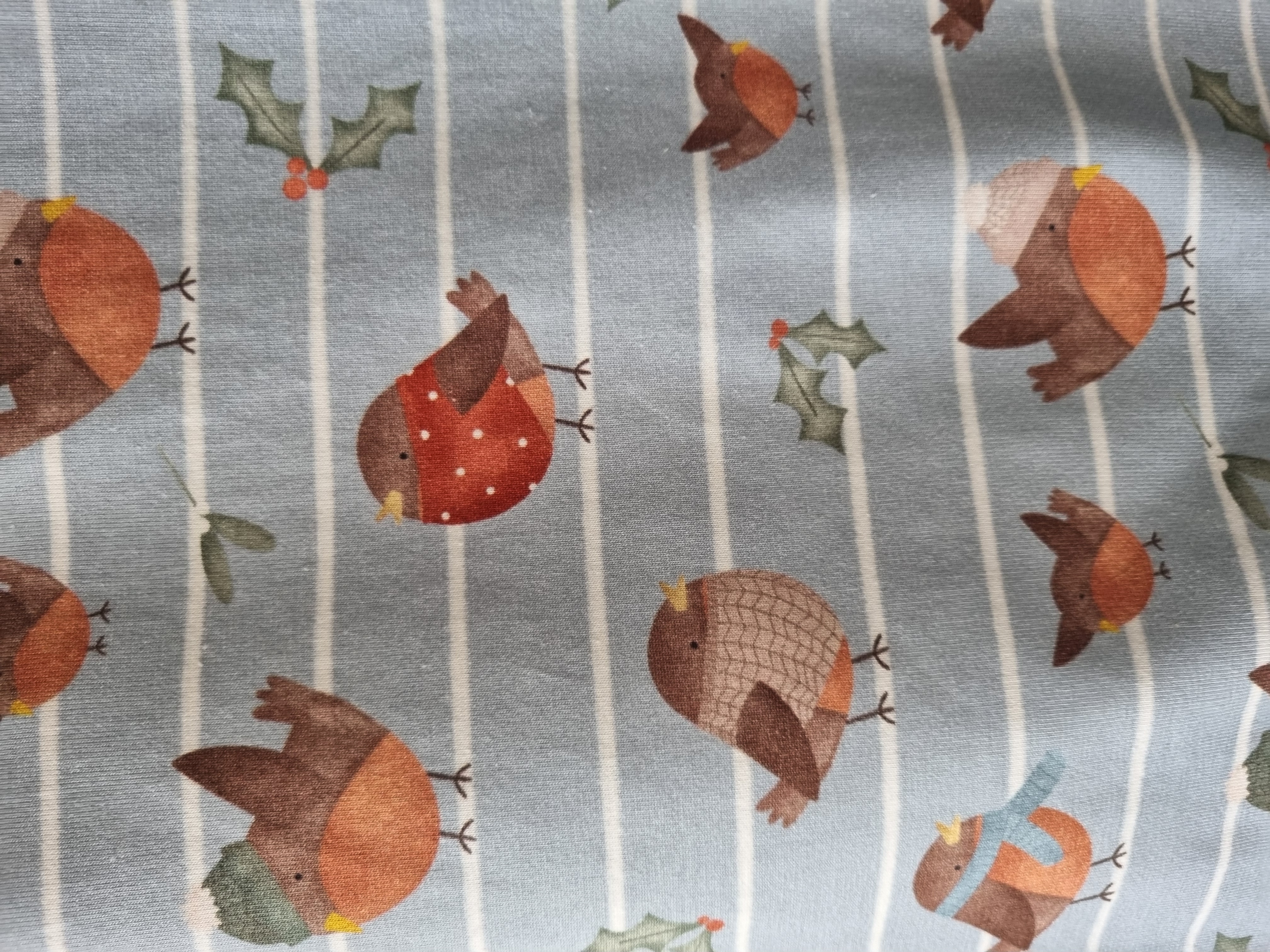 Robin print Romper