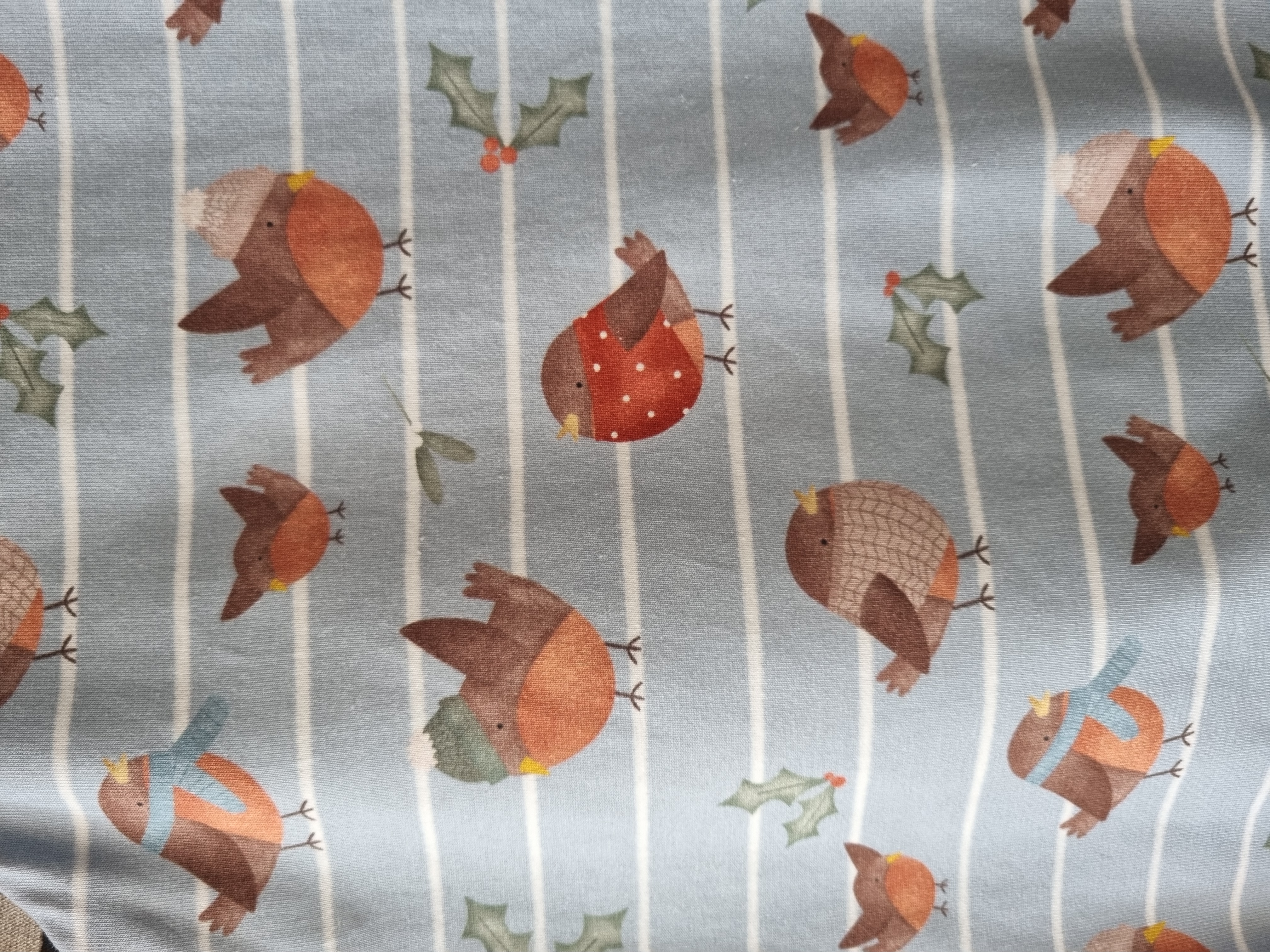 Robin print Romper