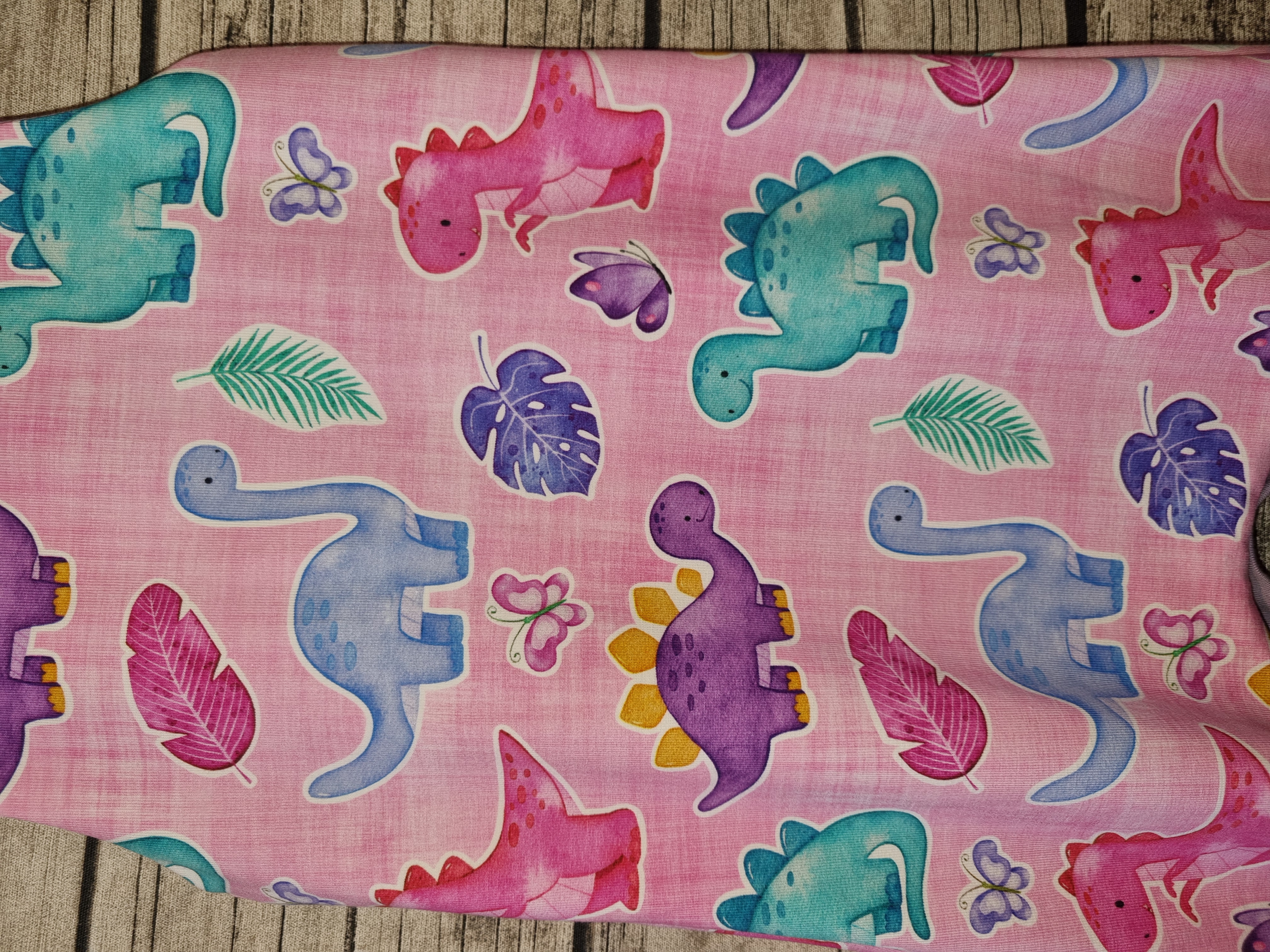 Baby Dinosaur Print Romper