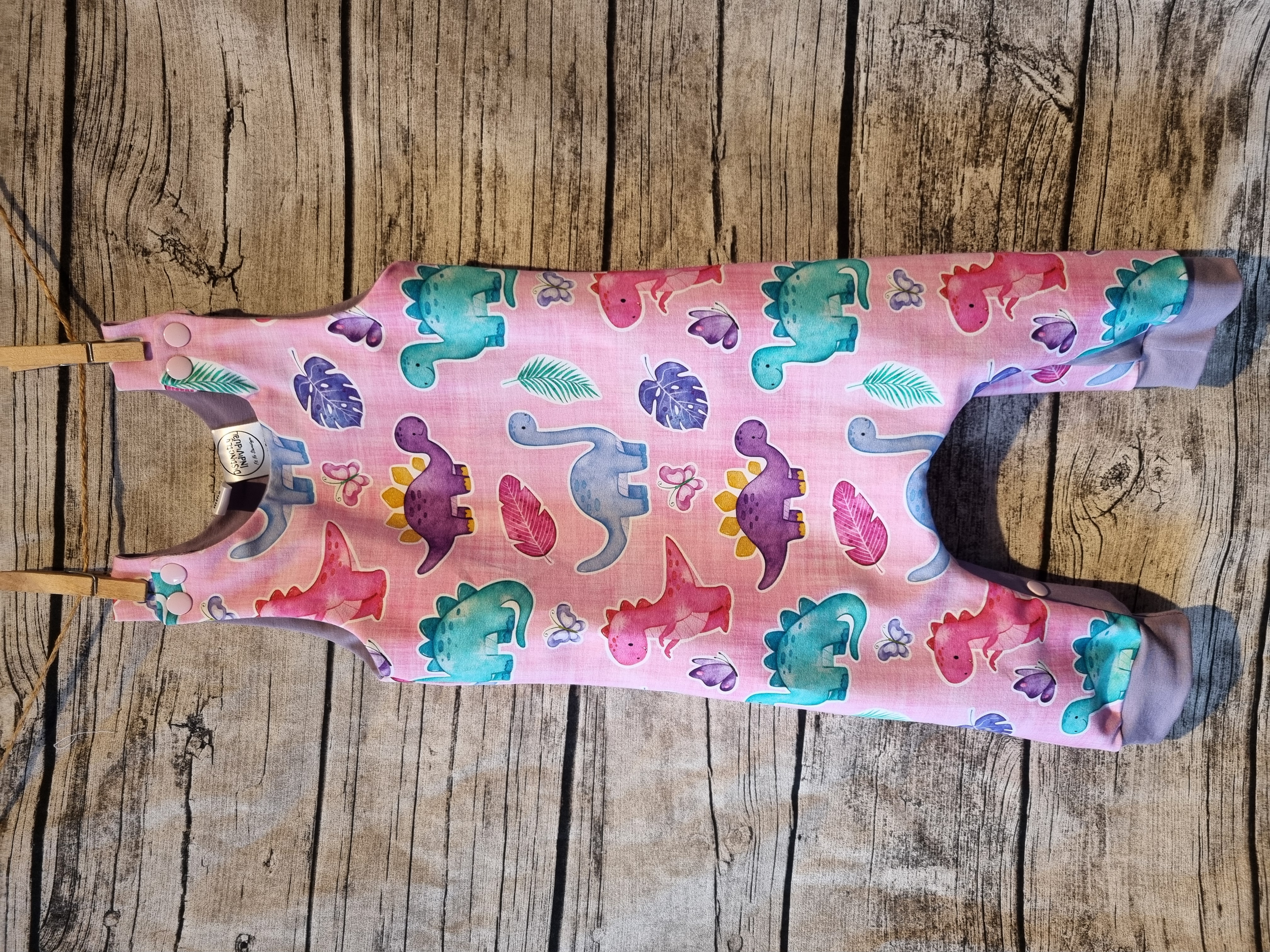 Baby Dinosaur Print Romper