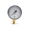 MANÓMETRO 0-5 PSI 2 1/2″ X 1/4″ NPT BAJA