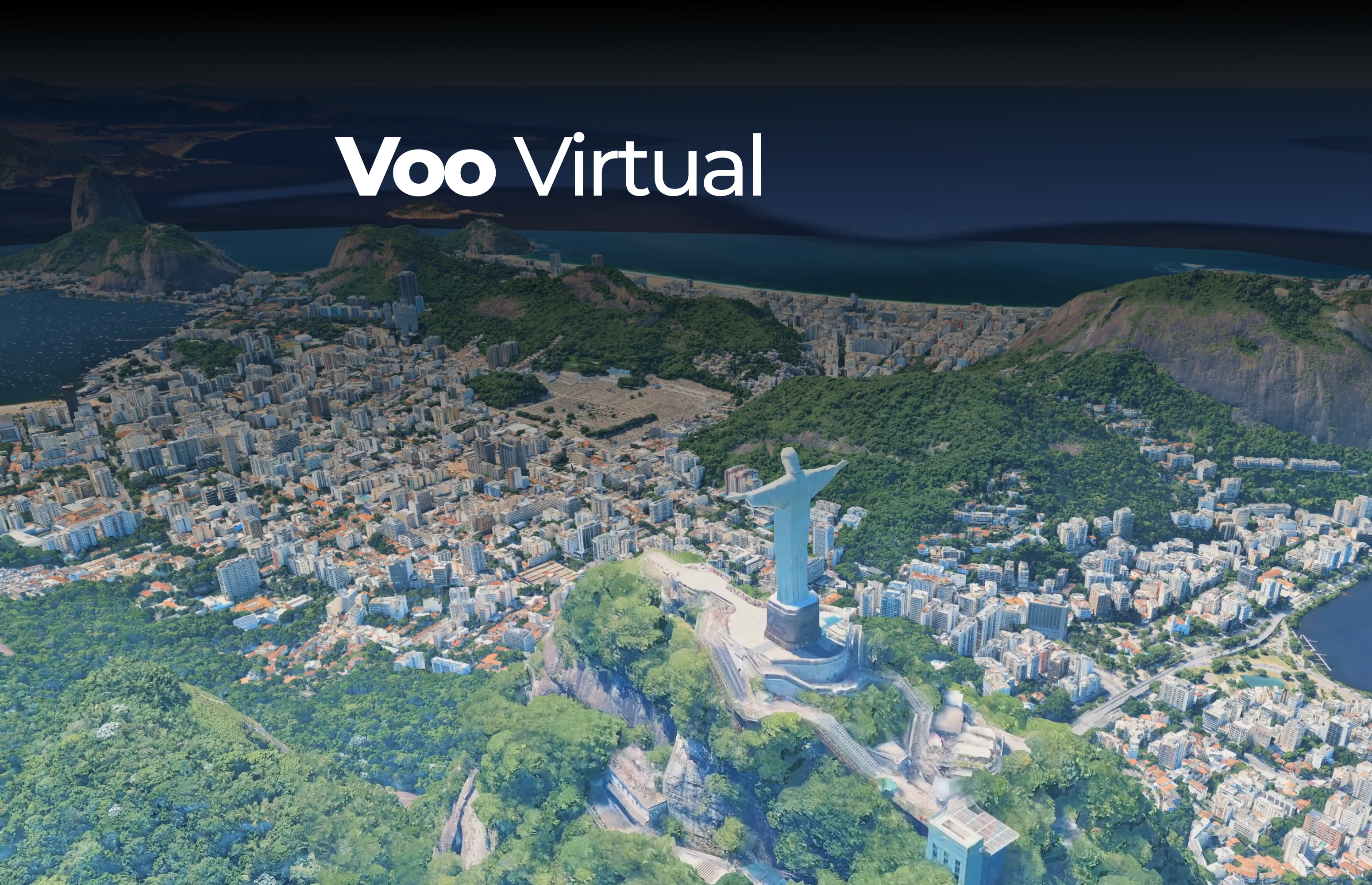 Voo Virtual Animado