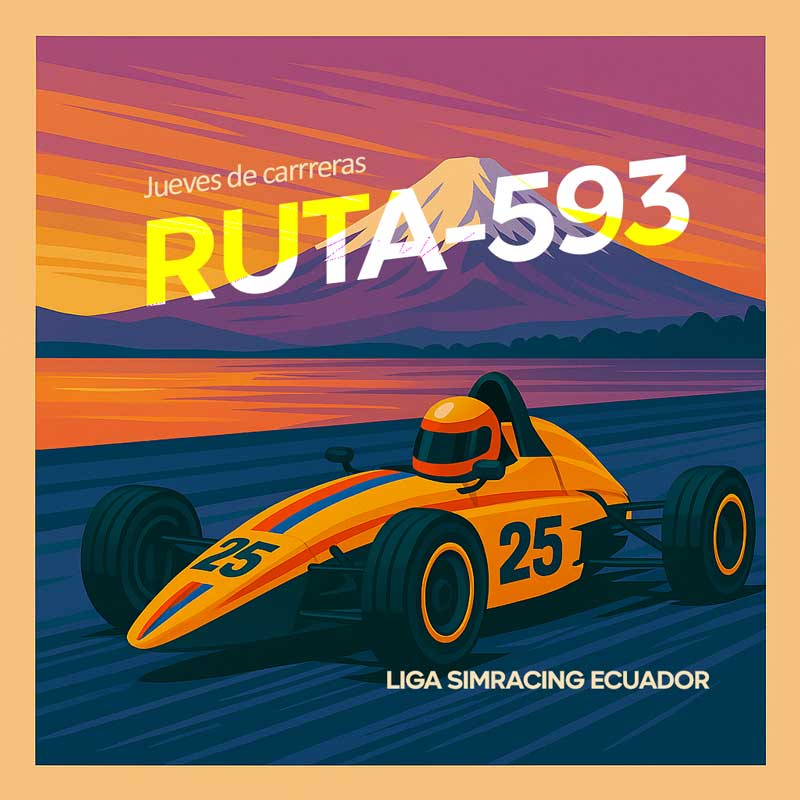 CARRERA / RUTA 593
