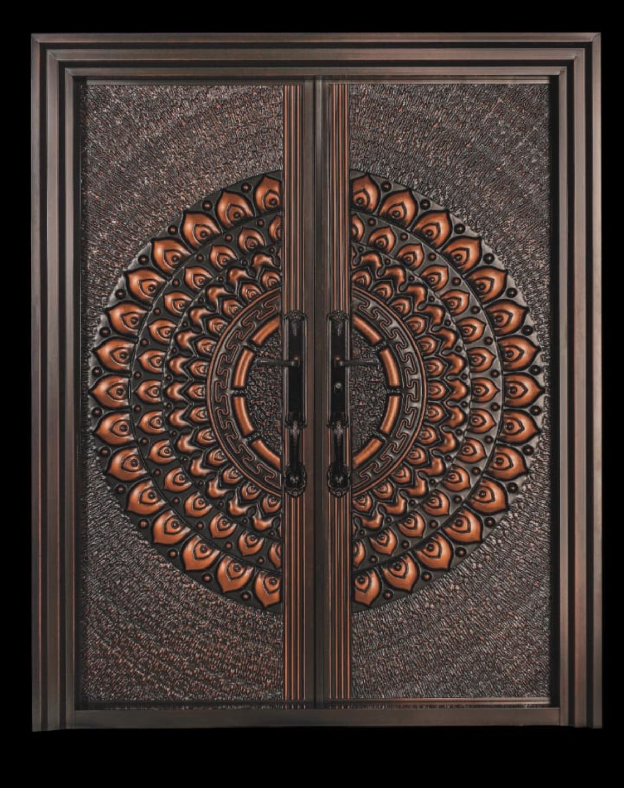 Modern Security Door