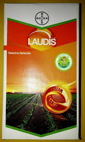 bayar Laudis