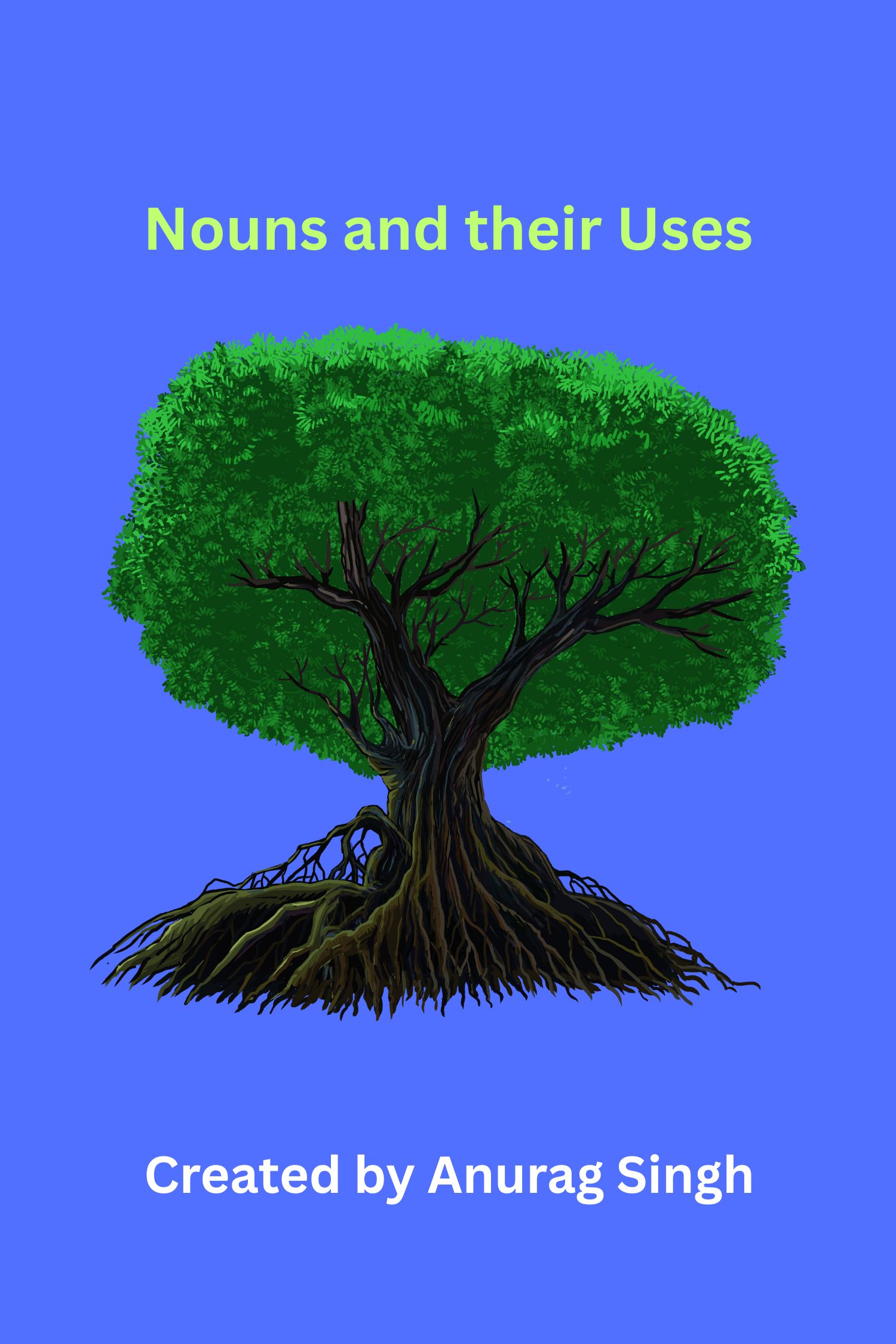 A Comprehensive booklet on Nouns