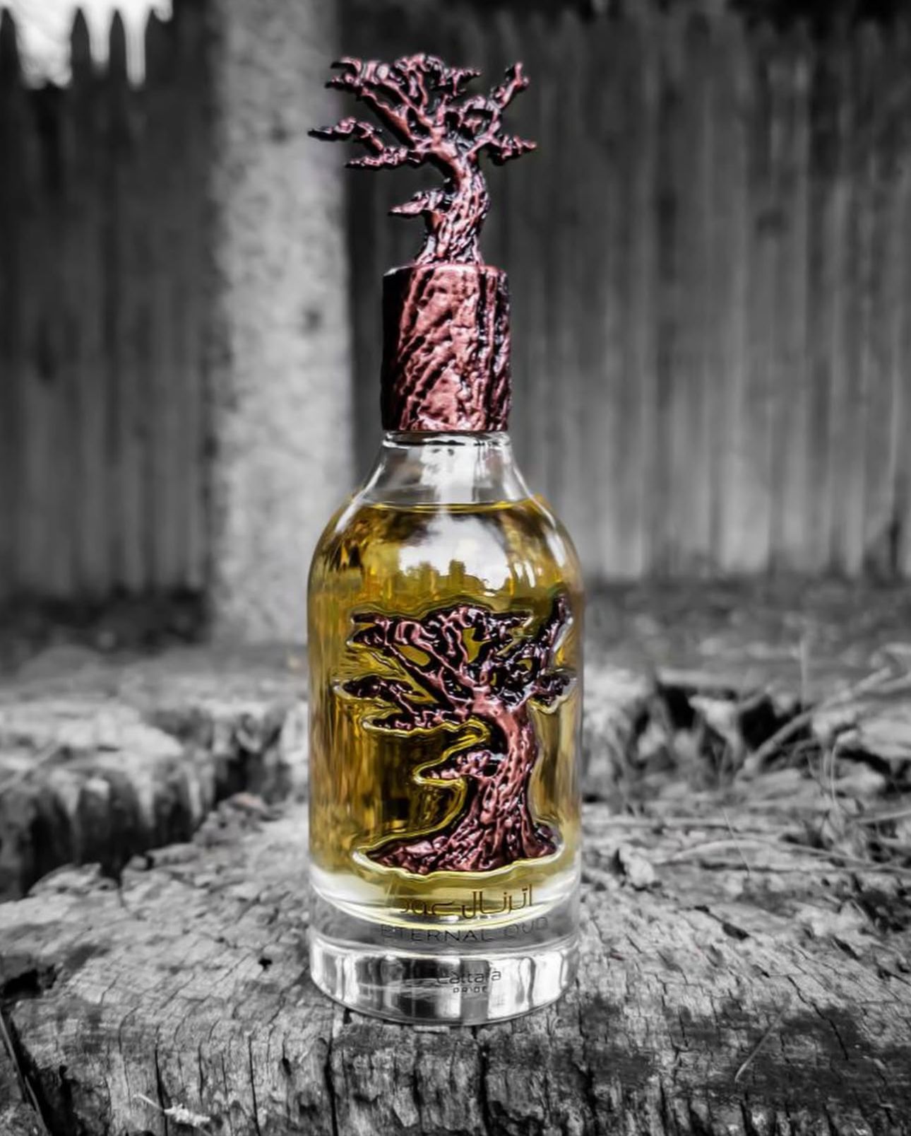 Lattafa Eternal Oud Eau de Parfum 100ml – Unisex Parfüm