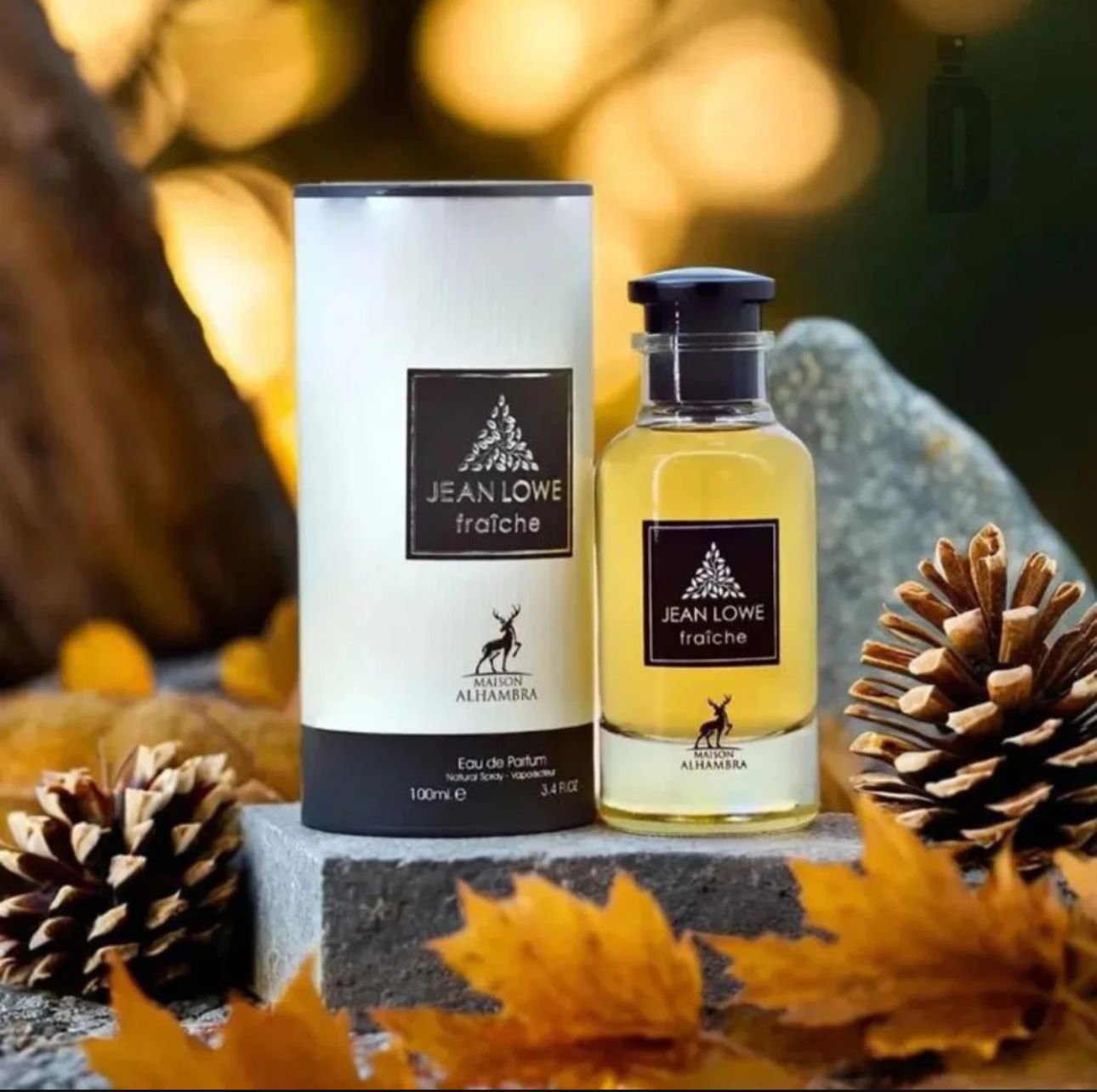 💧 Jean Lowe Fraiche EDP 100ml – Erkek Parfümü