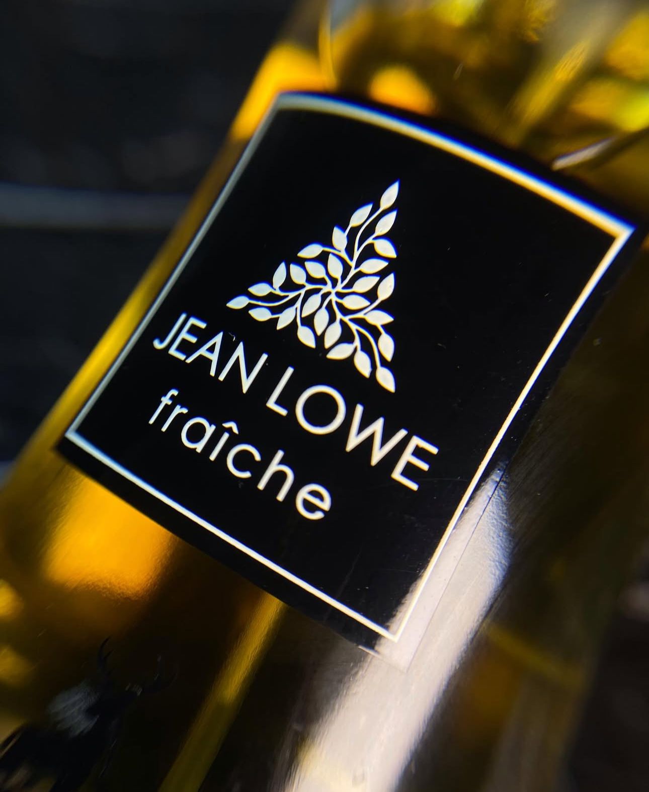 💧 Jean Lowe Fraiche EDP 100ml – Erkek Parfümü