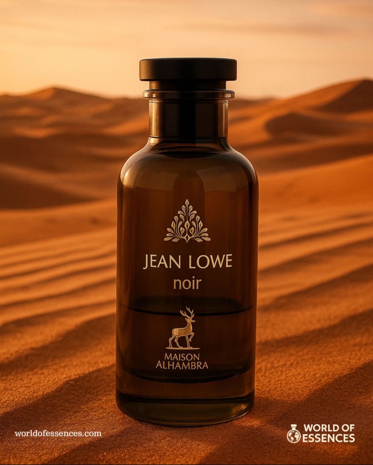 🖤 Jean Lowe Noir EDP 100ml – Erkek Parfümü