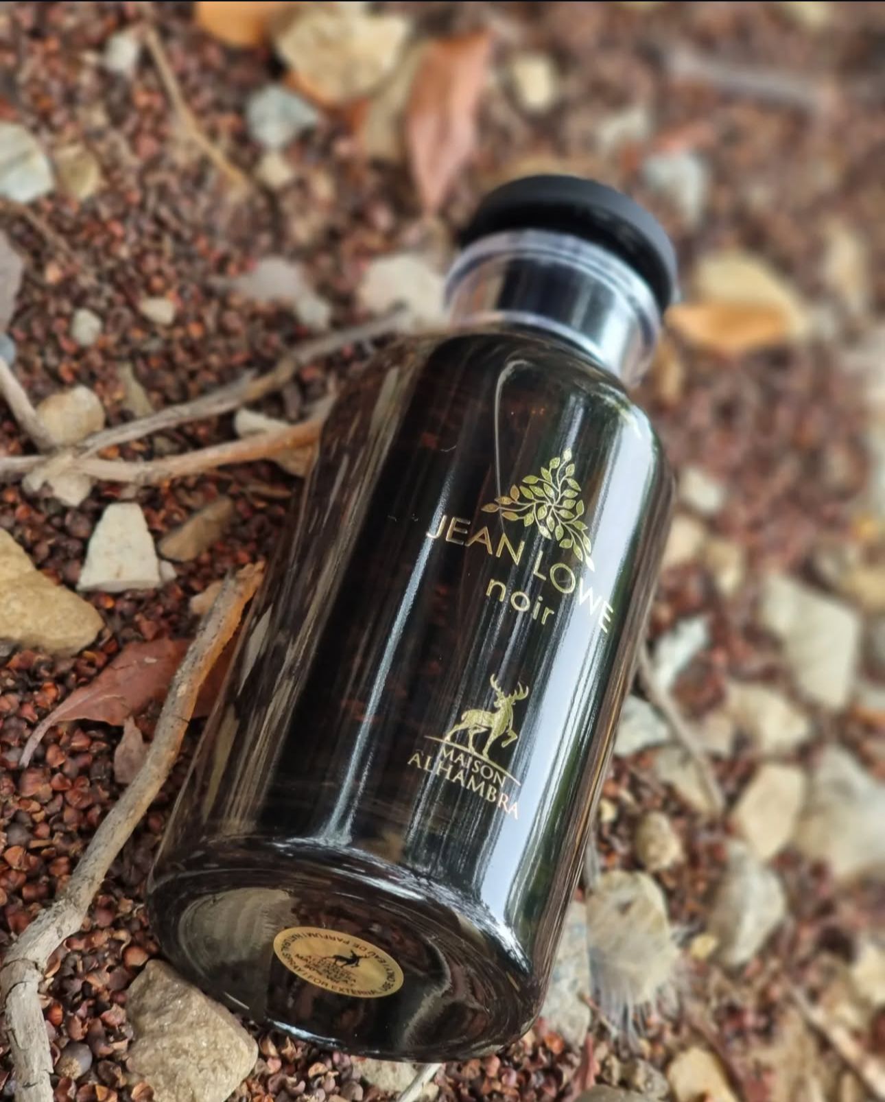 🖤 Jean Lowe Noir EDP 100ml – Erkek Parfümü