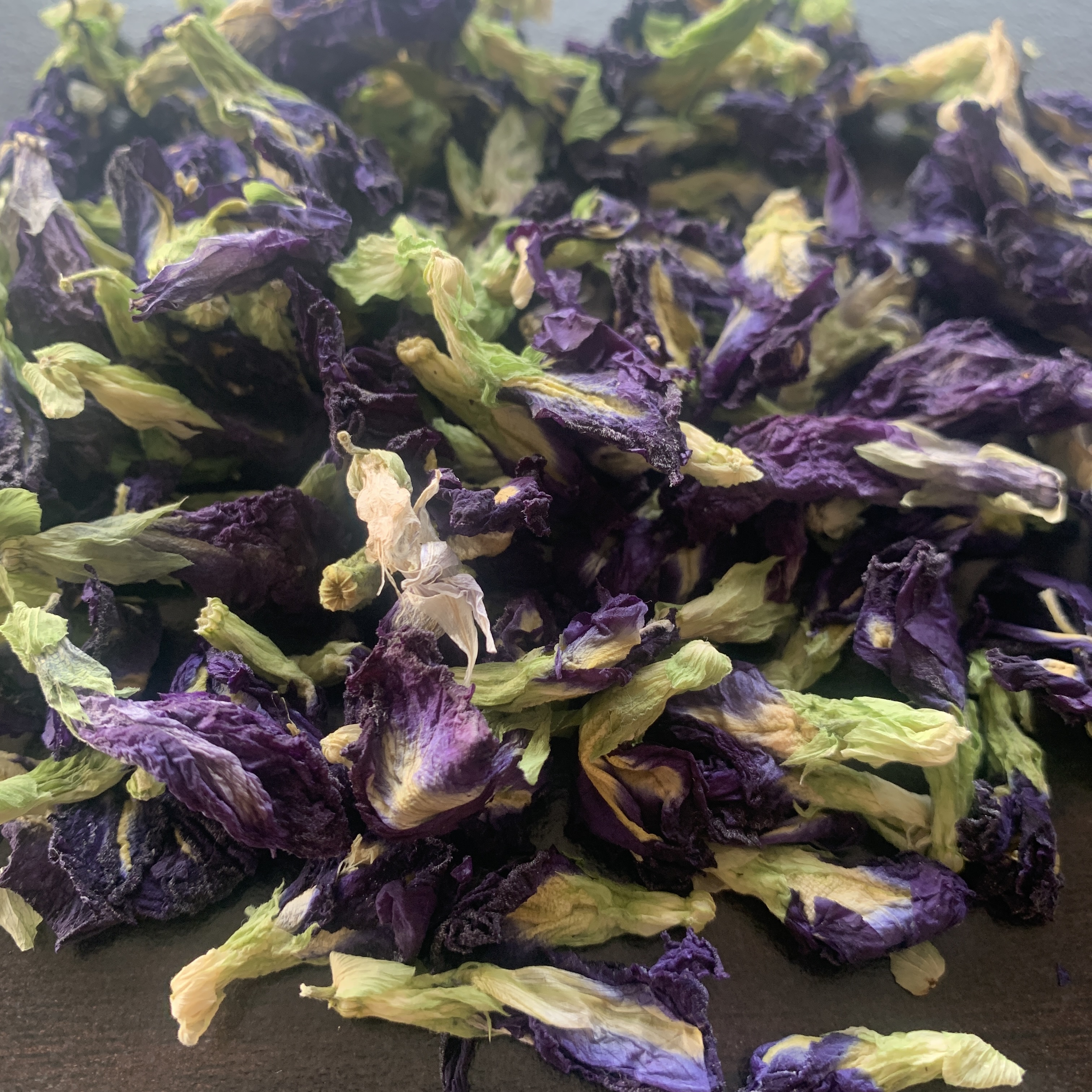 Homegrown Blue Butterfly Pea Flowers