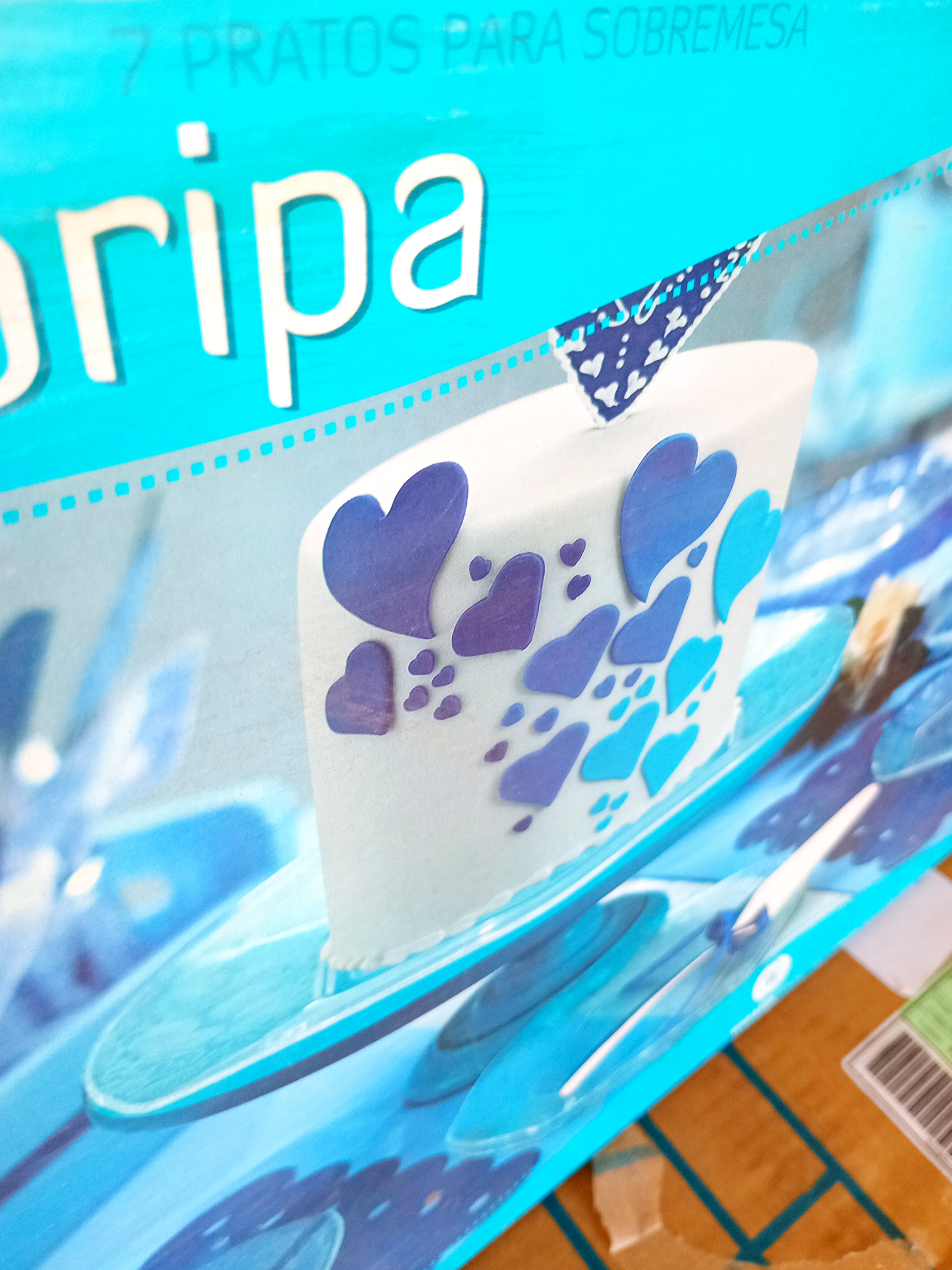 Conjunto de festa Floripa