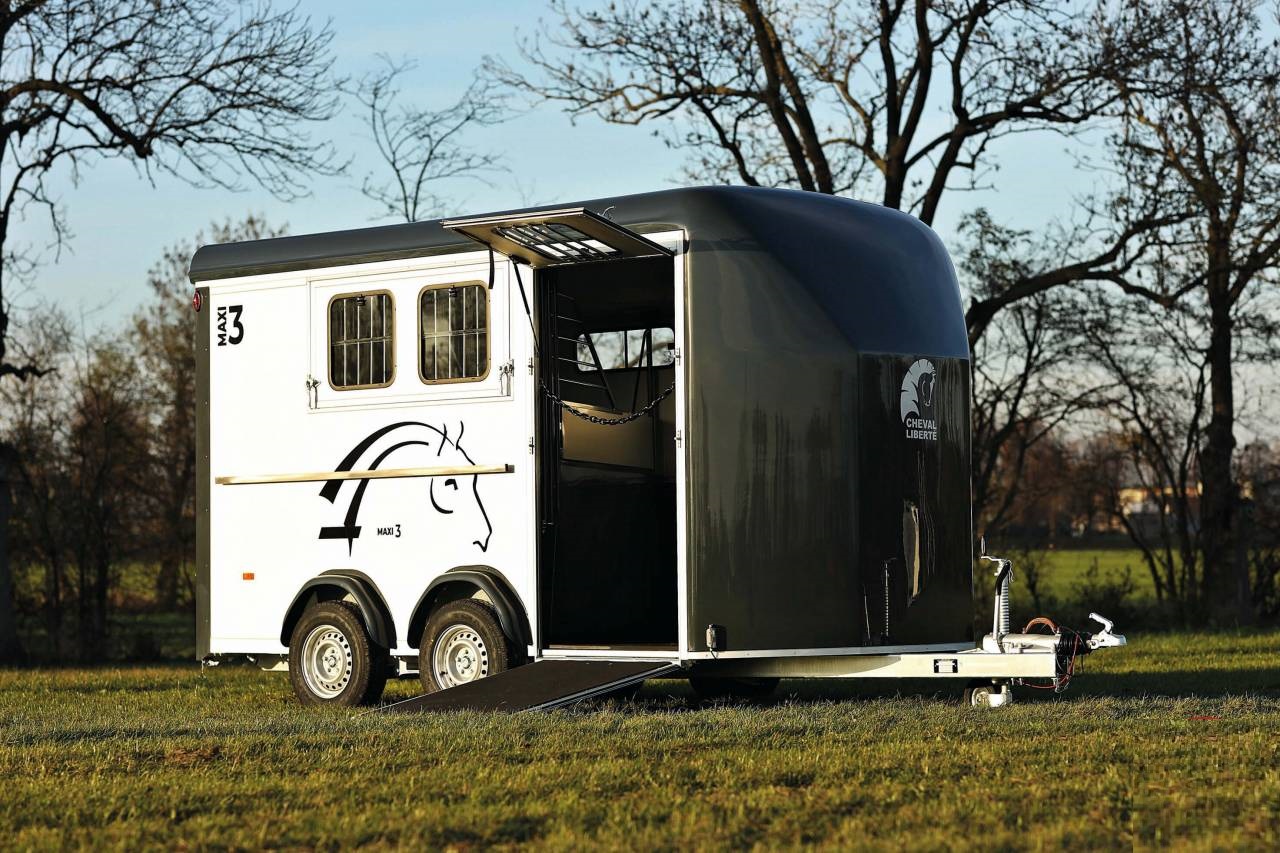 Cheval liberté 3places MAXI 3