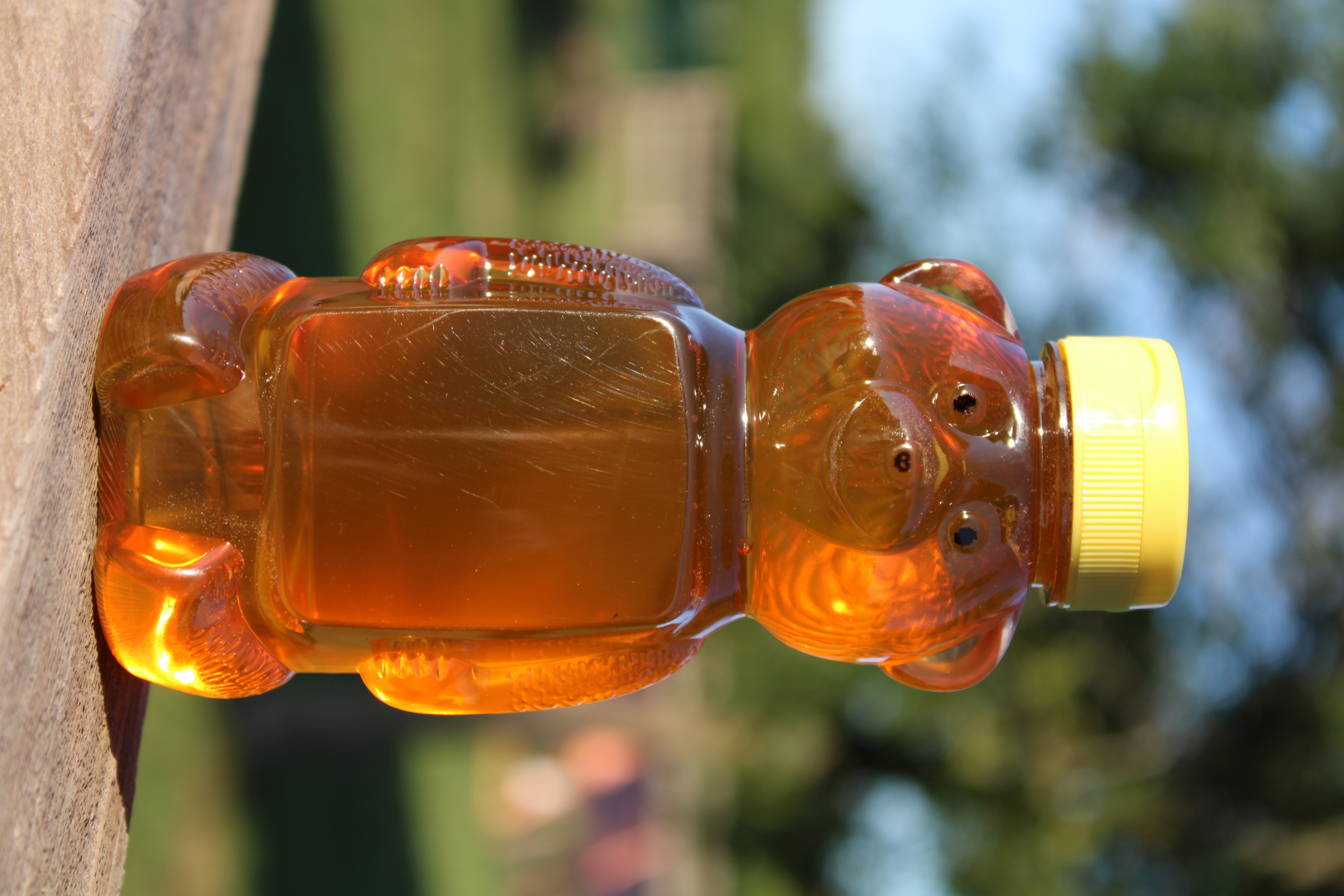 16 oz. Honey Bear