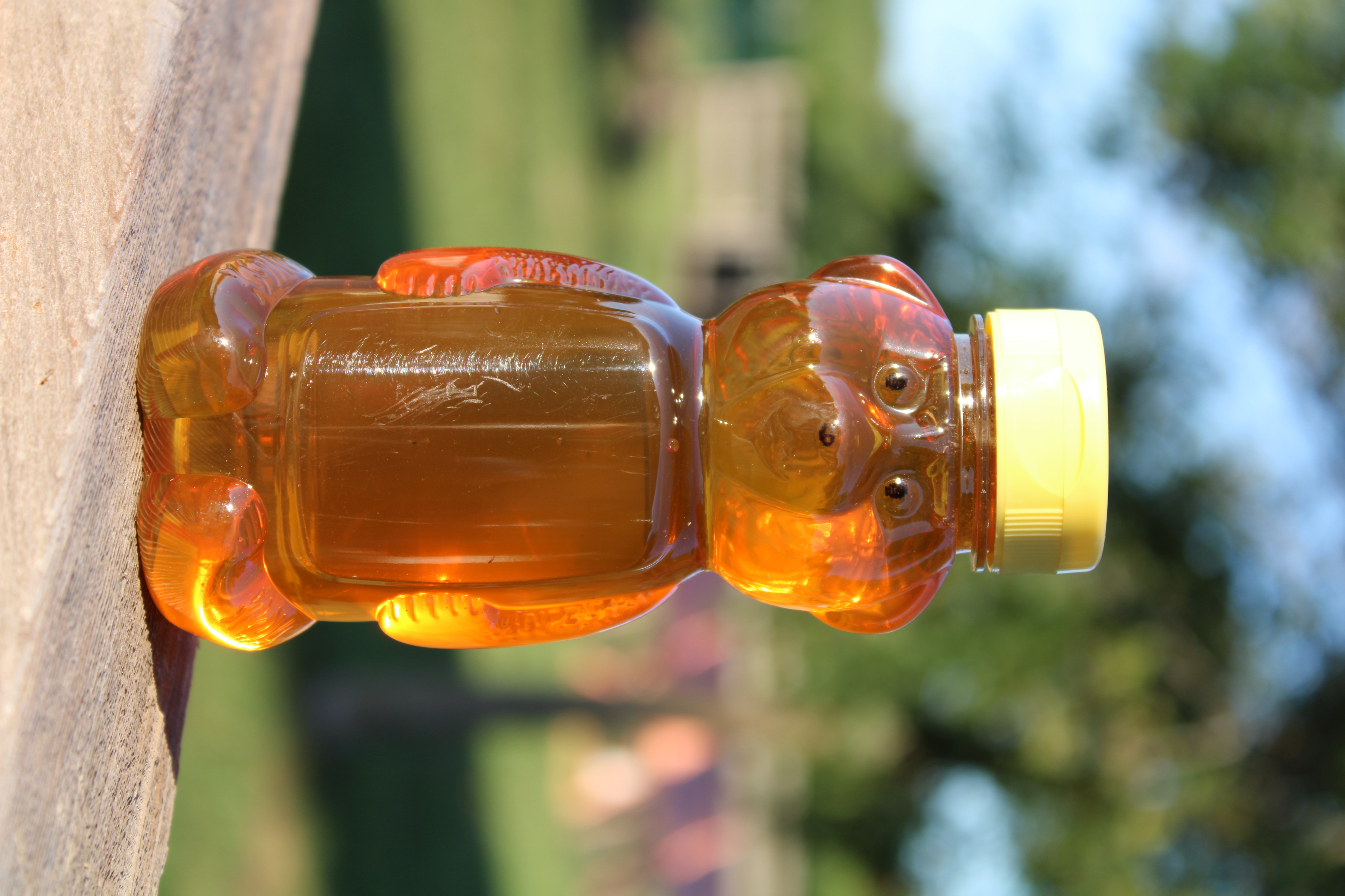 12 oz. Honey Bear