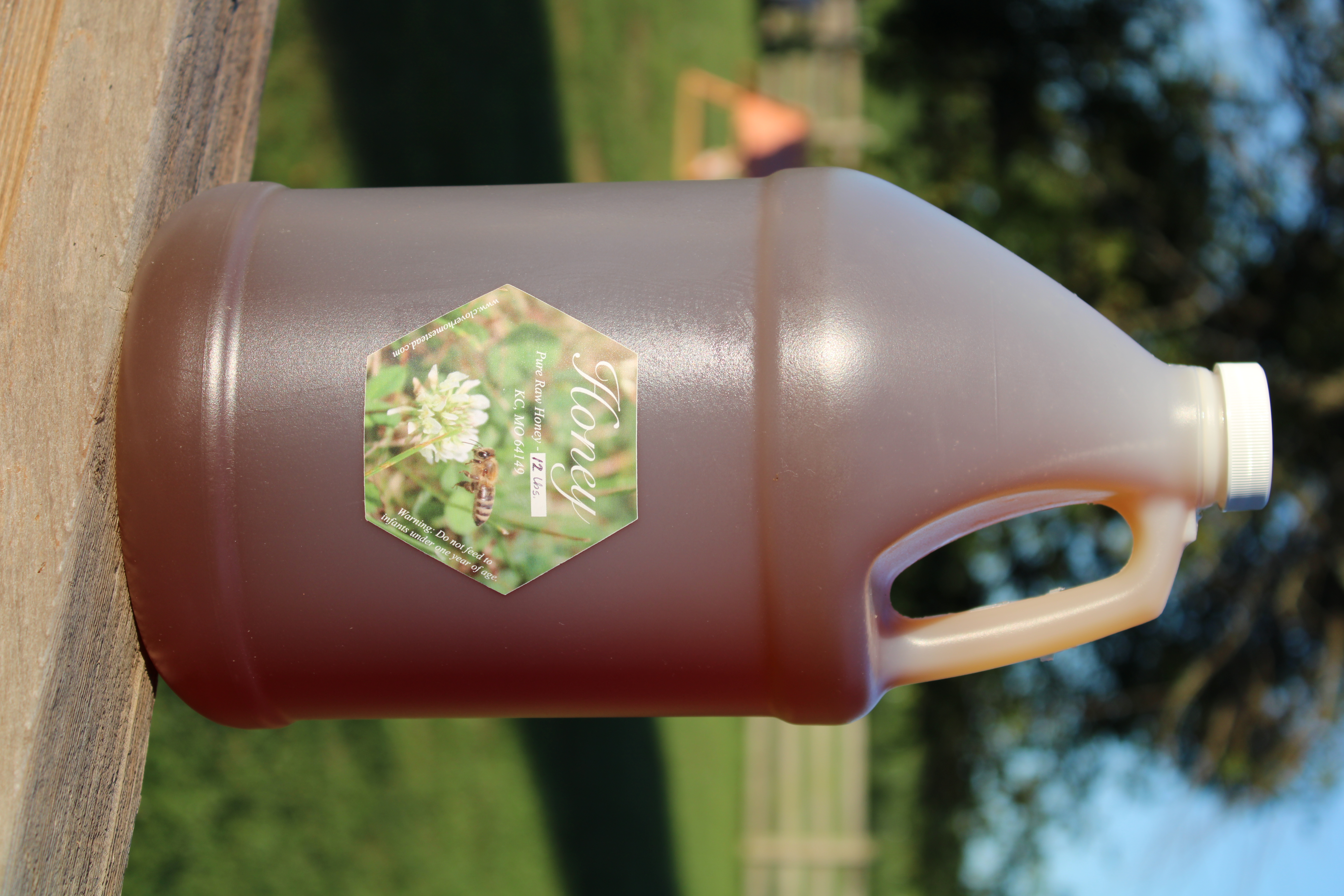 12 lb. Jug of Honey 