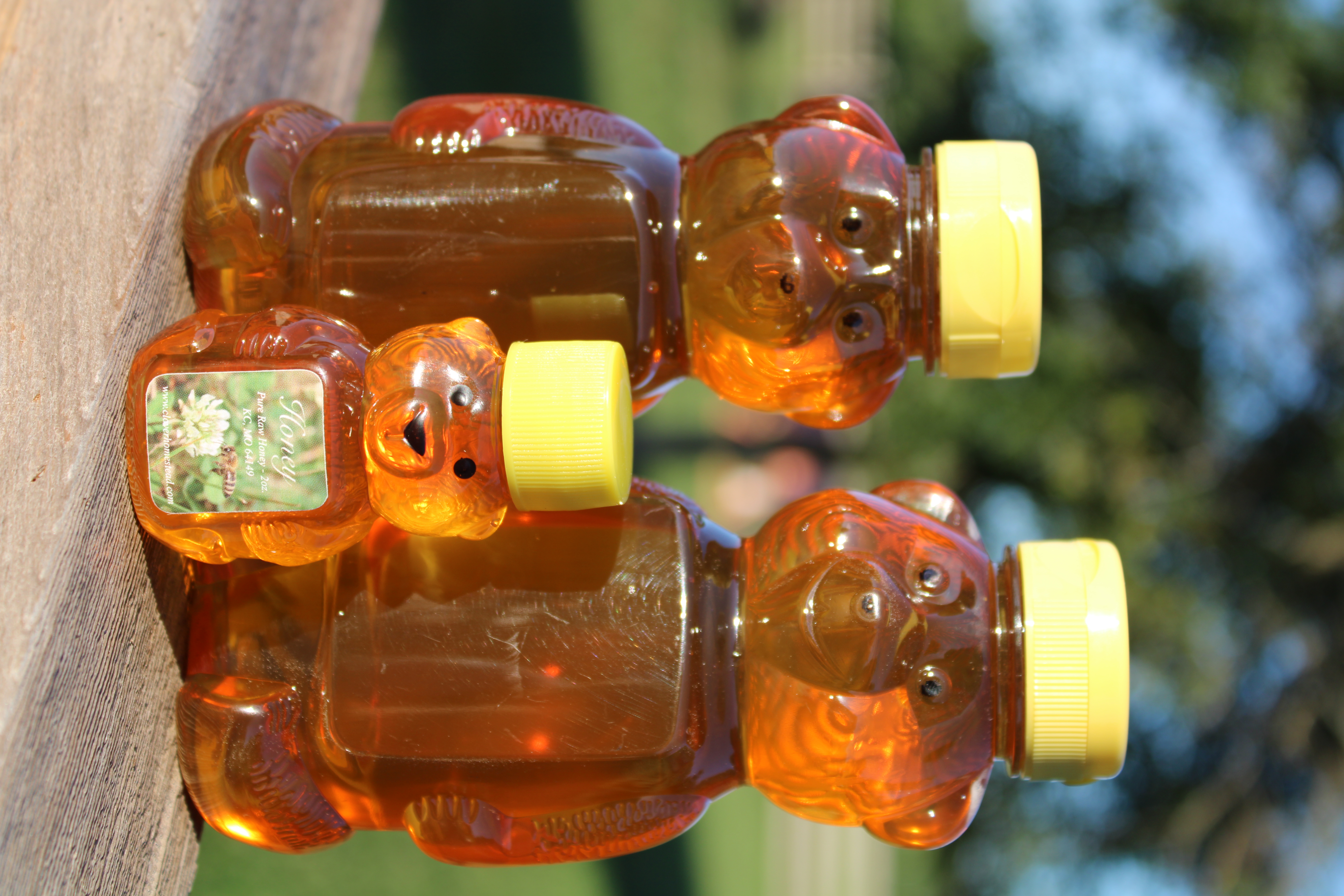 Family of Honey Bears