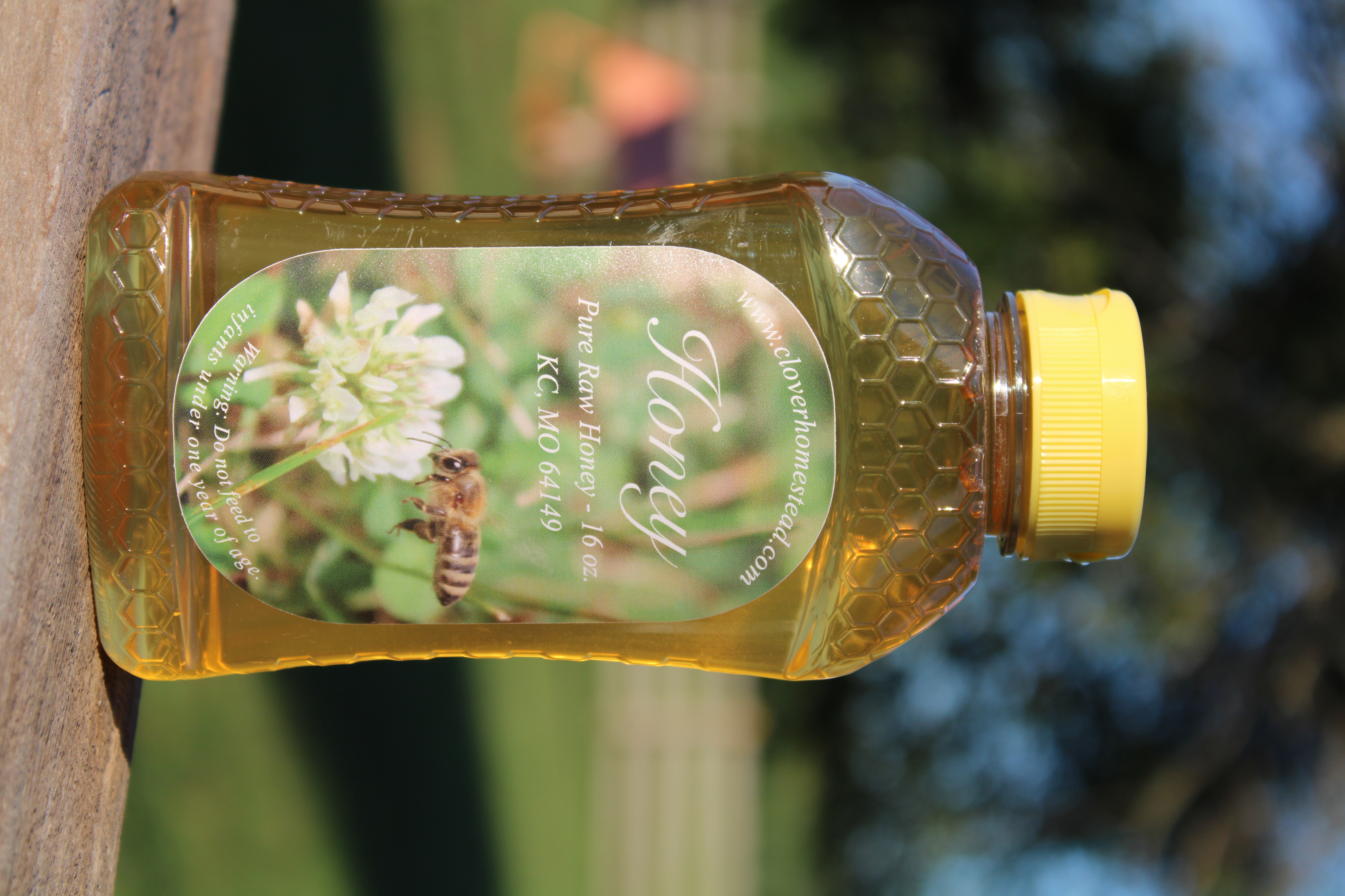 16 oz. Honey Comb Bottle