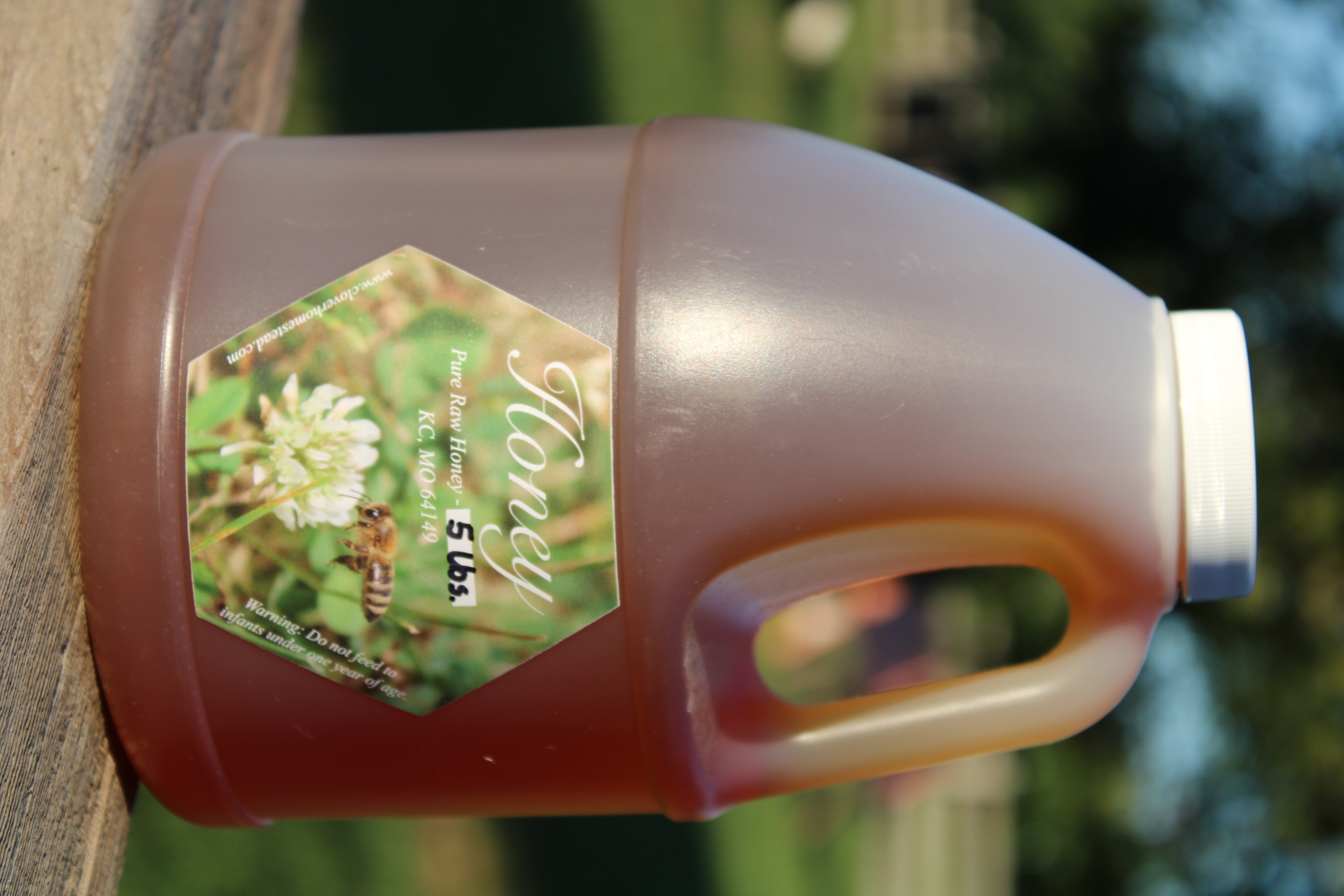 5lb. Jug of Honey