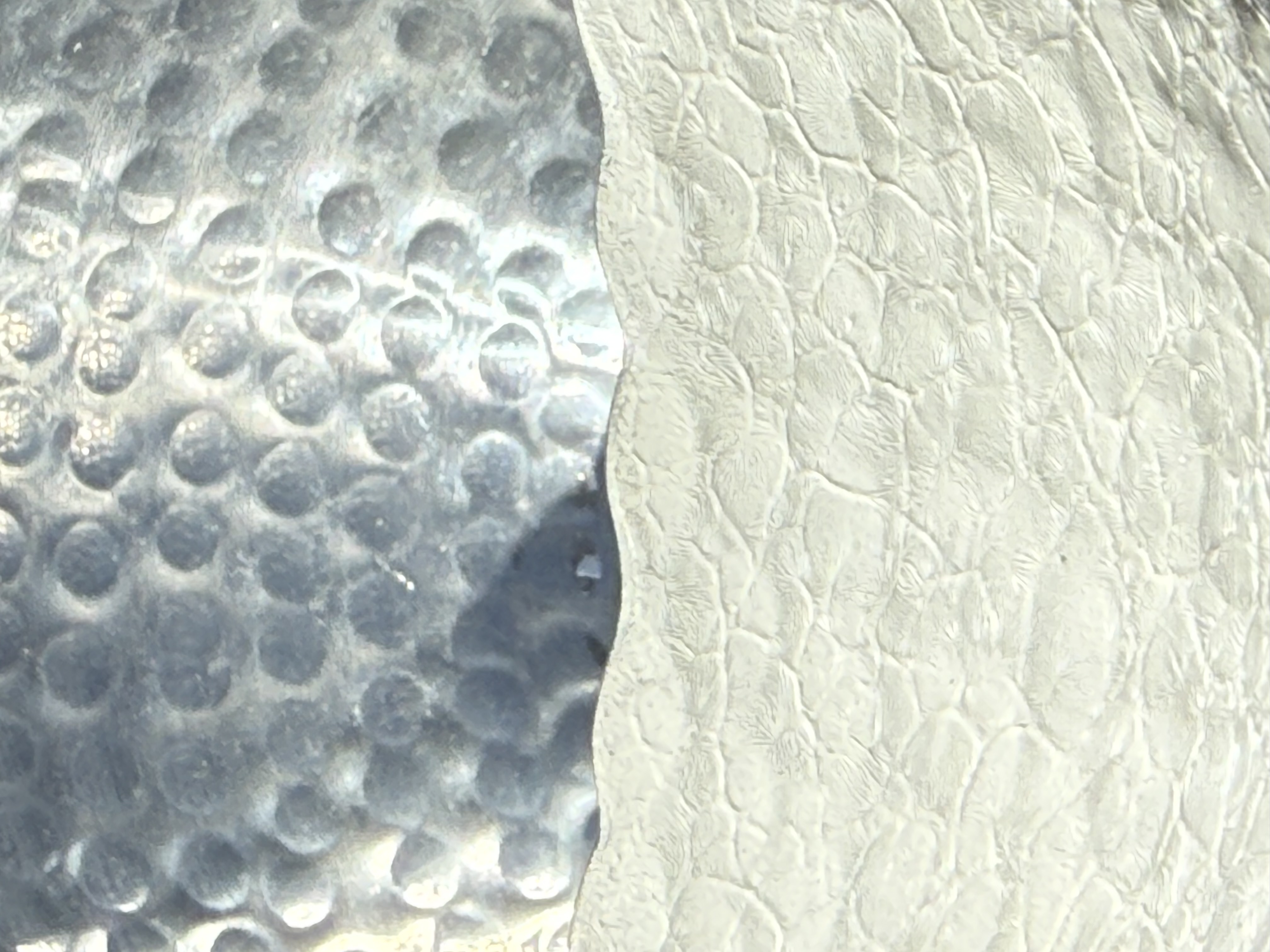 Home Accessories - Planters - White 