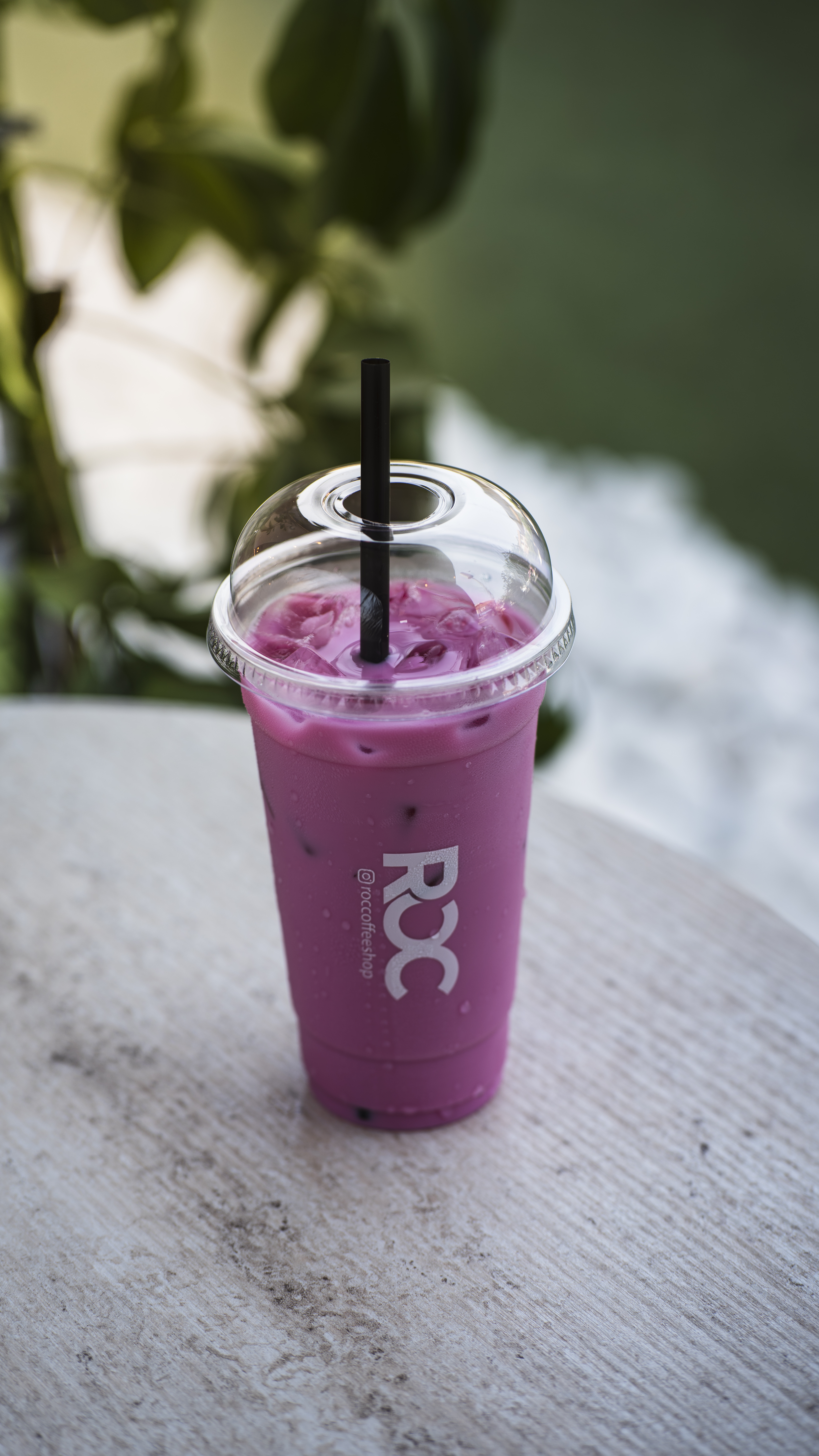 Ice Matcha Latte