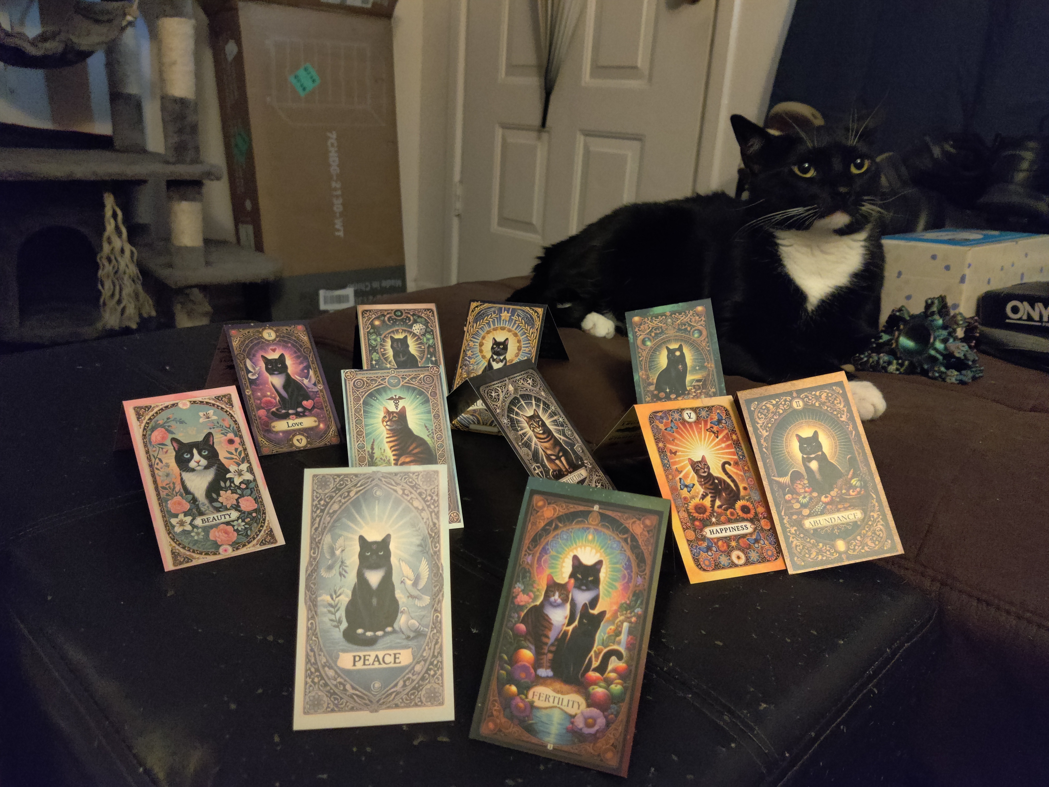 All 12 Advanced Manifestation Kits (WITH Candles)
