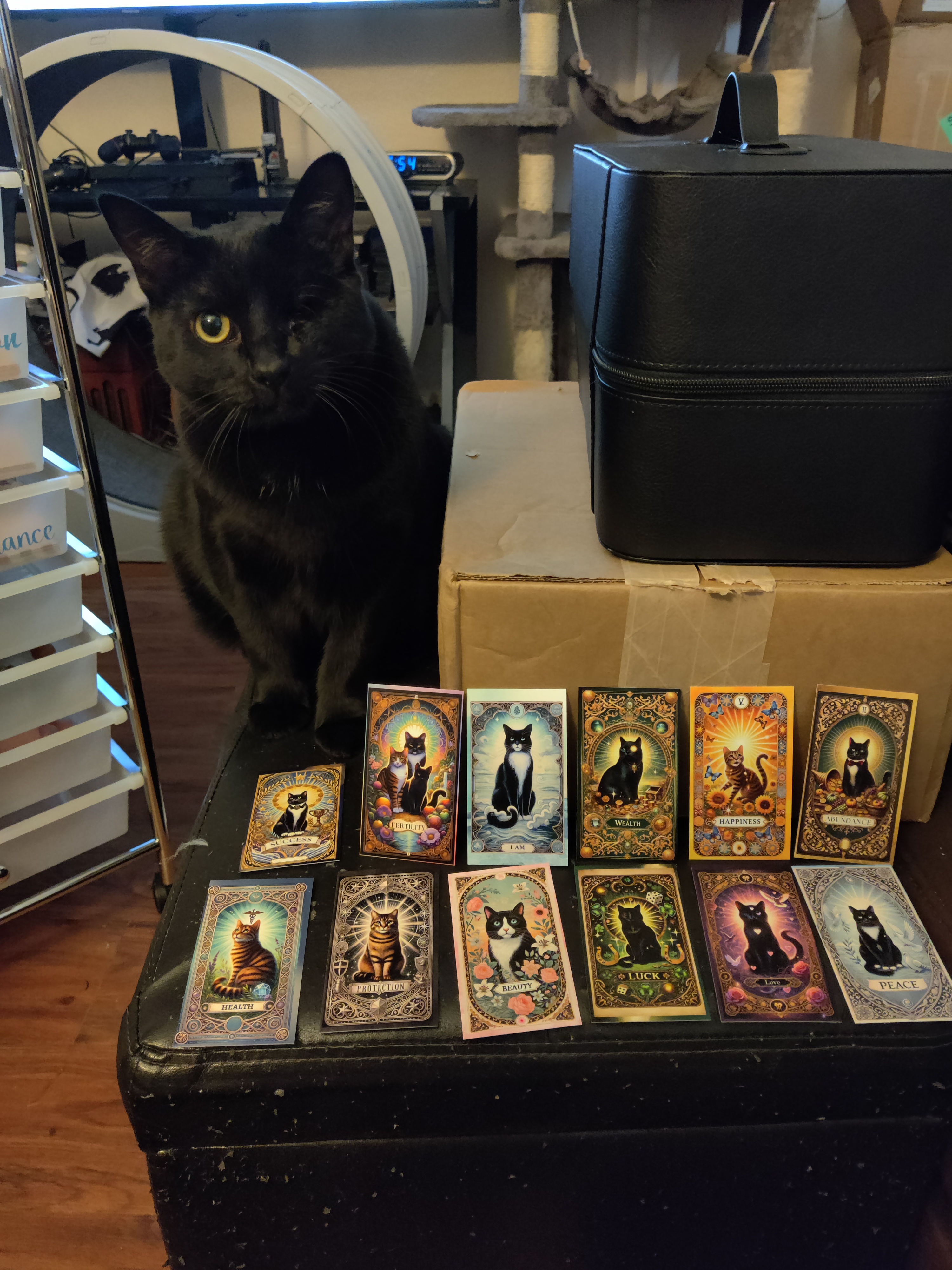 All 12 Advanced Manifestation Kits (WITHOUT Candles)