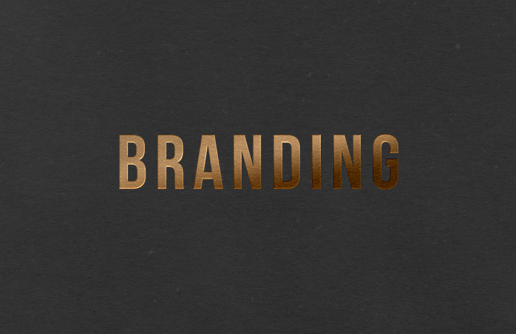 Branding o Brandbook Profesional
