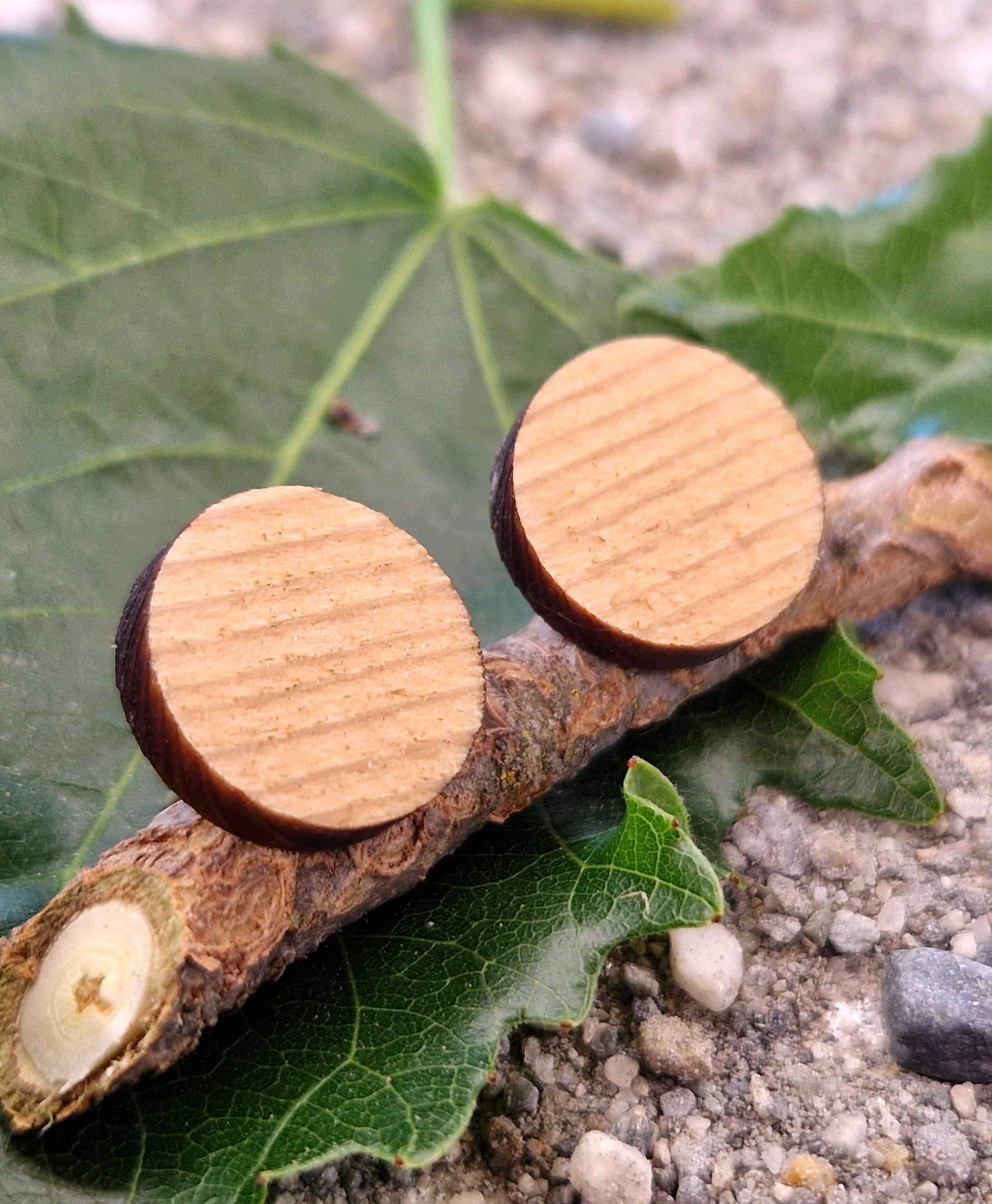 Clous d'oreille