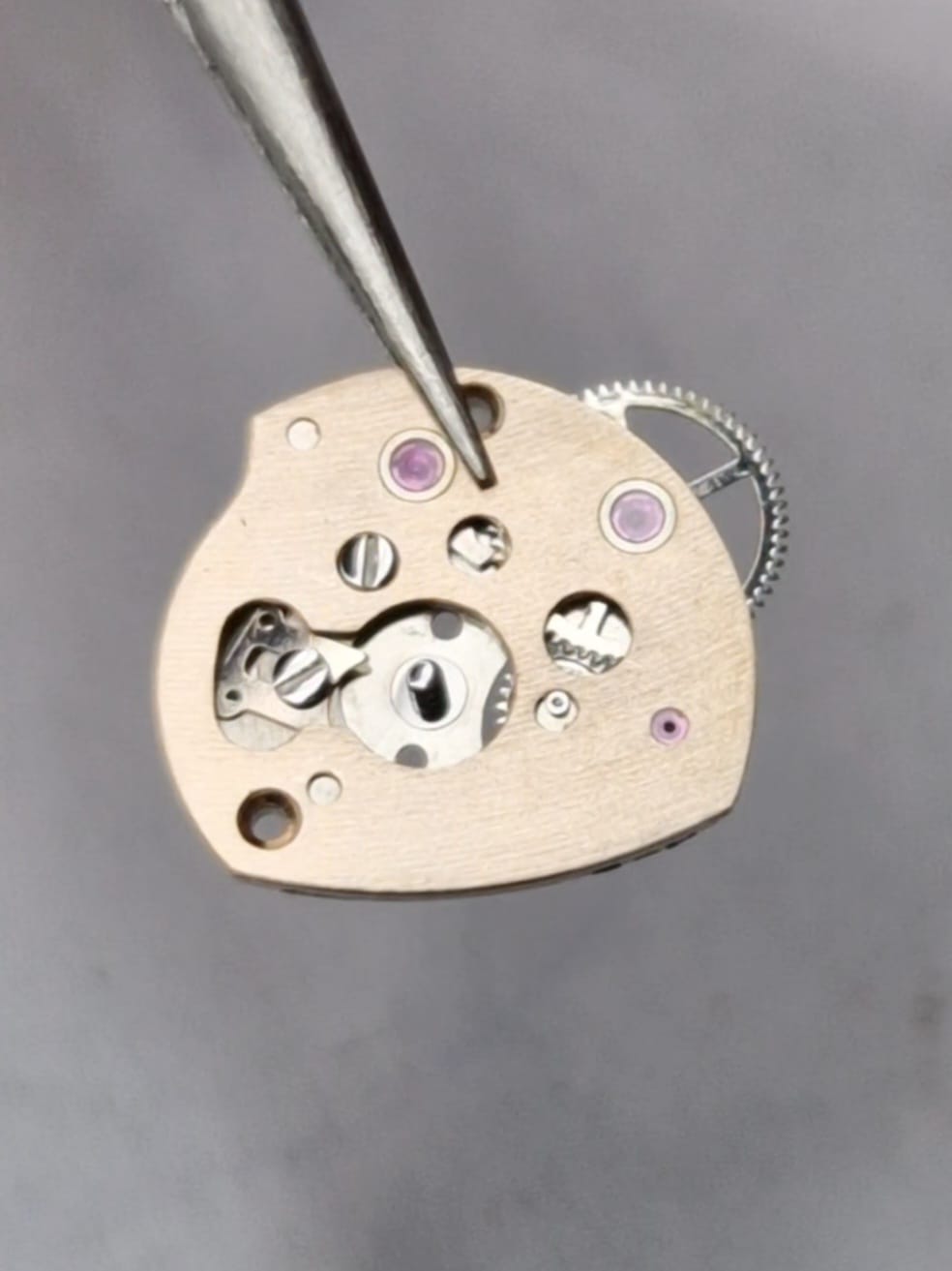 Renis Genève ~ 1972 - 35 mm