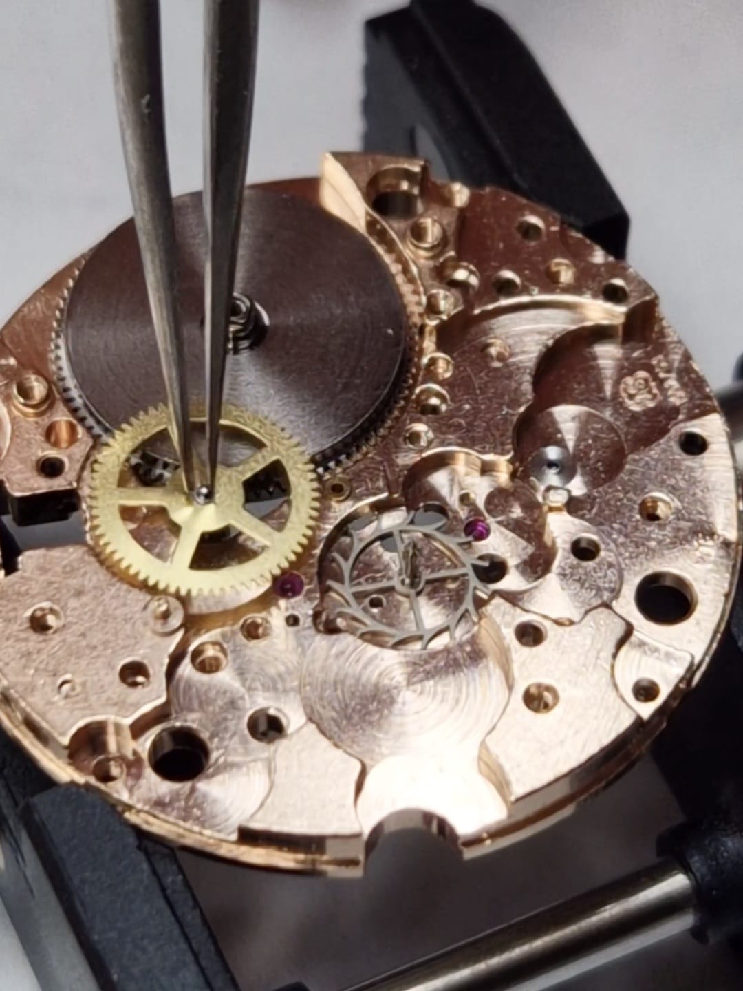 Renis Genève ~ 1972 - 35 mm