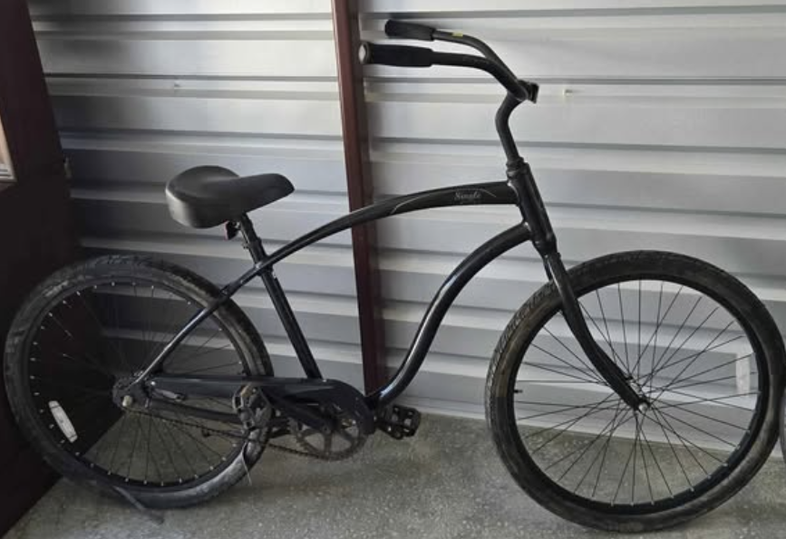 Giant Single single speed Cruiser Bicycle