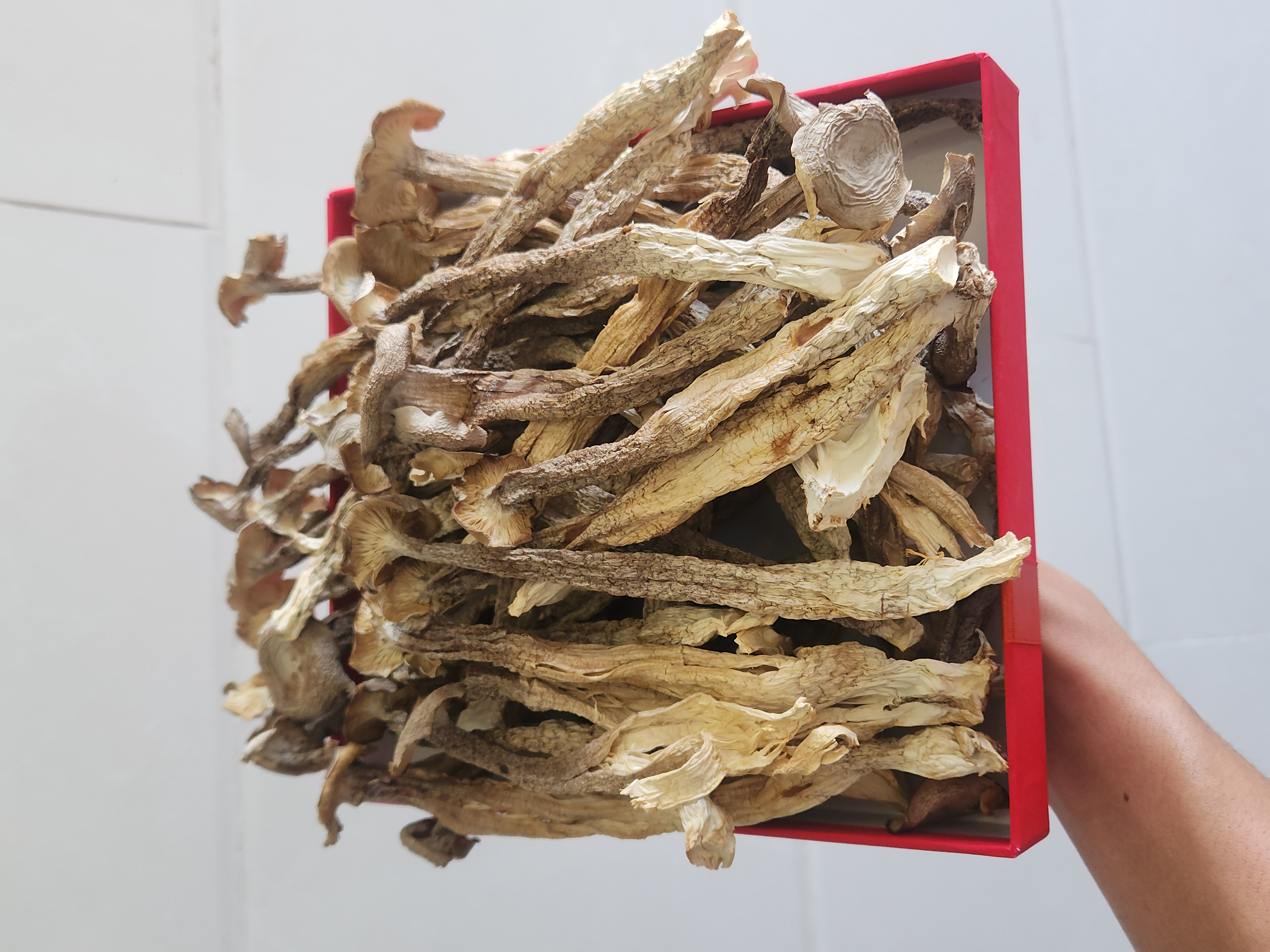 Nấm Lộc Nhung Khô - Cây To Không Vụn,  Túi 500gr