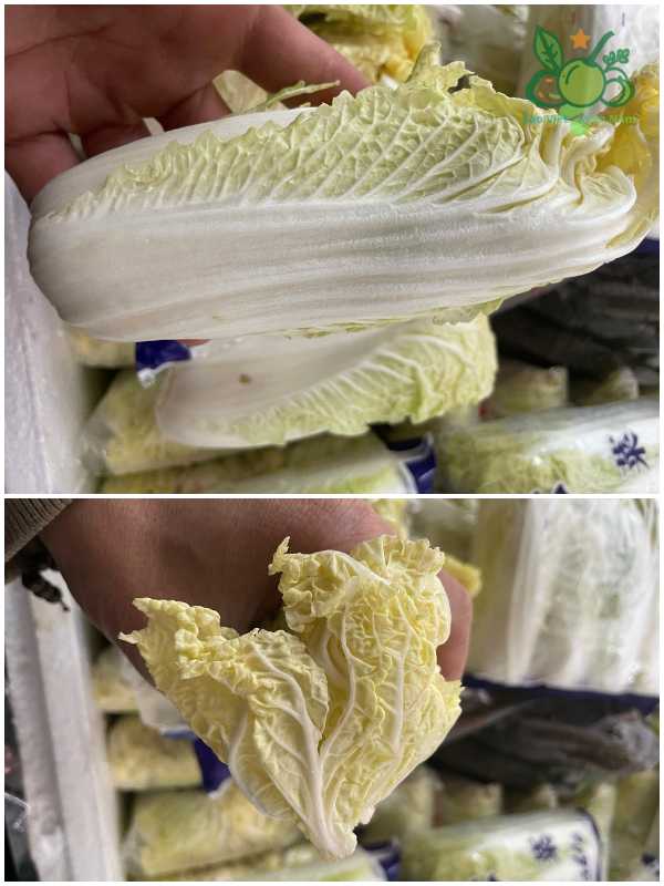 Cải Thảo Baby - Chuyên dùng cho mì cay, nhà hàng cao cấp.