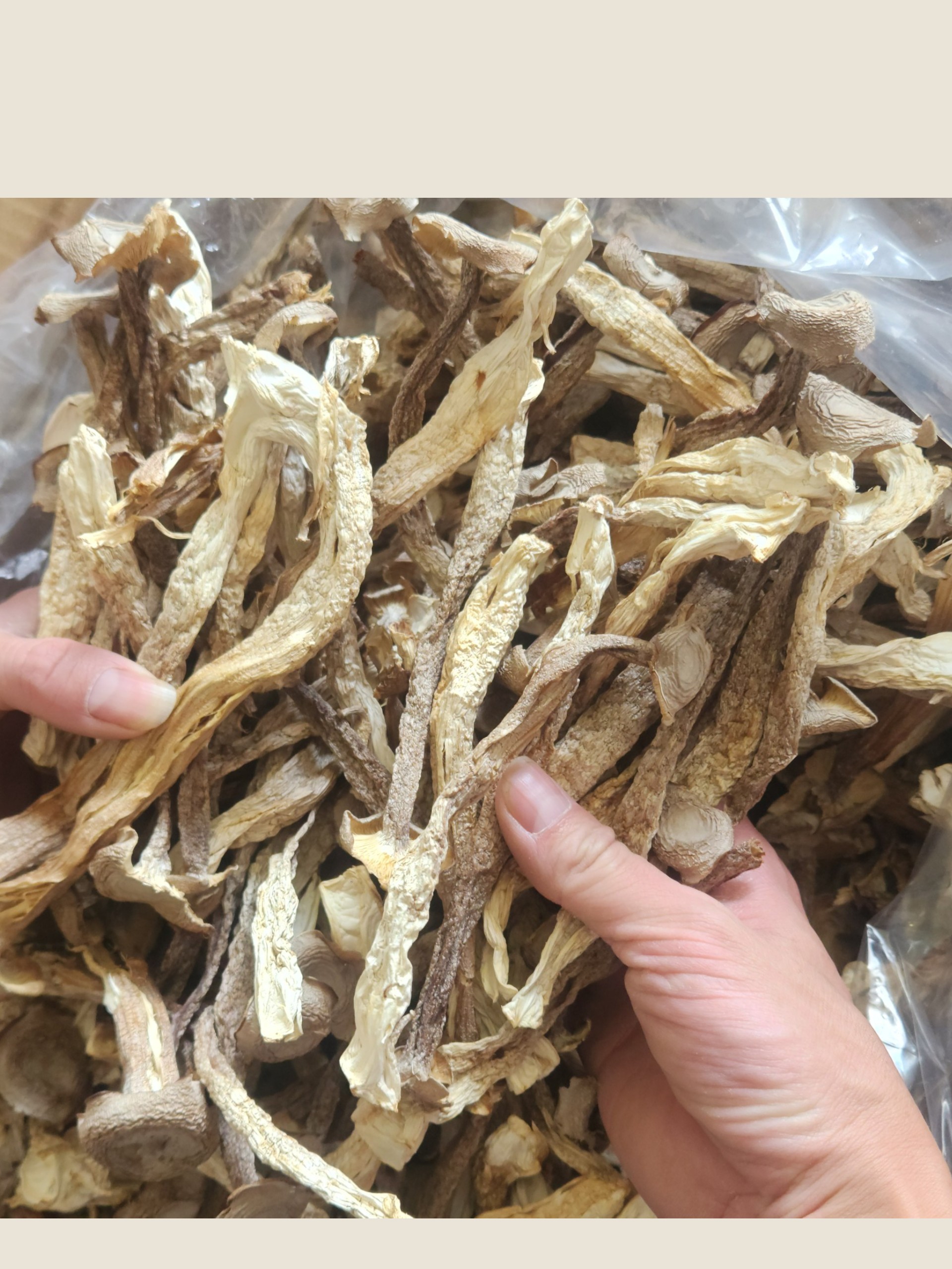 Nấm Lộc Nhung Khô - Cây To Không Vụn,  Túi 500gr