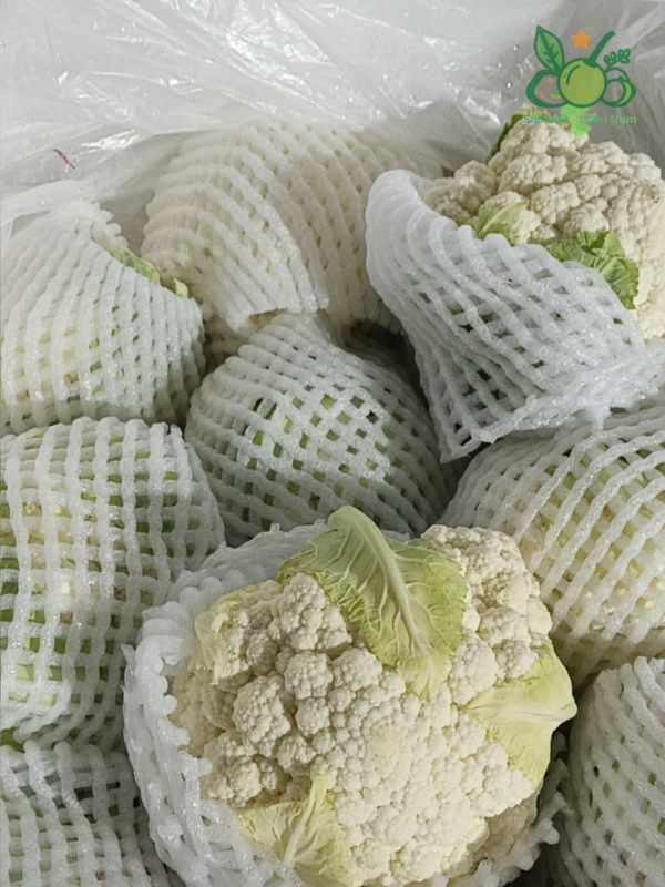 Súp Lơ Trắng - Bông Trắng Sao Việt