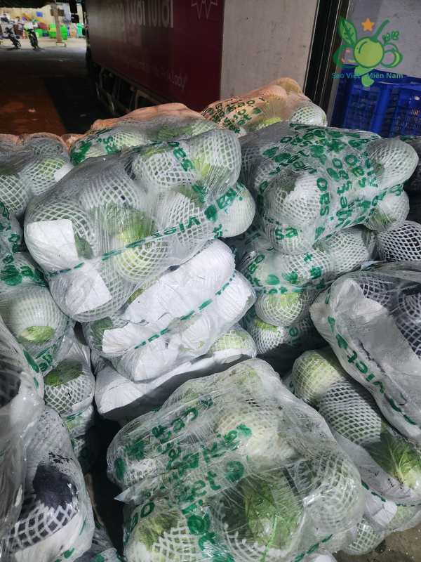 Sú Tim (Bắp Cải Trắng) Sỉ Bao 25kg Tem Sao Việt