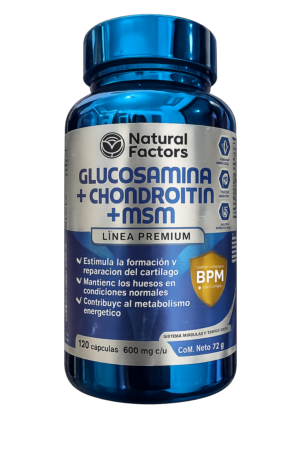 GLUCOSAMINA + CHONDROITINA + MSM