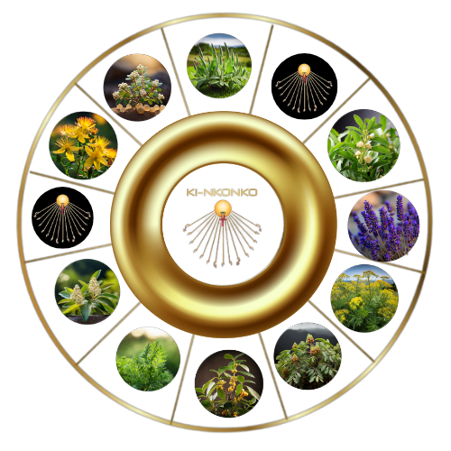 Soins Bimenina (Plantes)