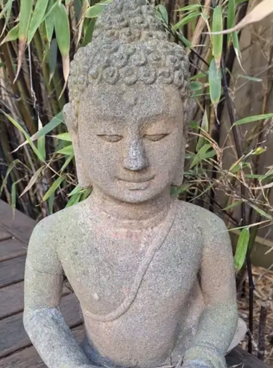 Soul Renewal