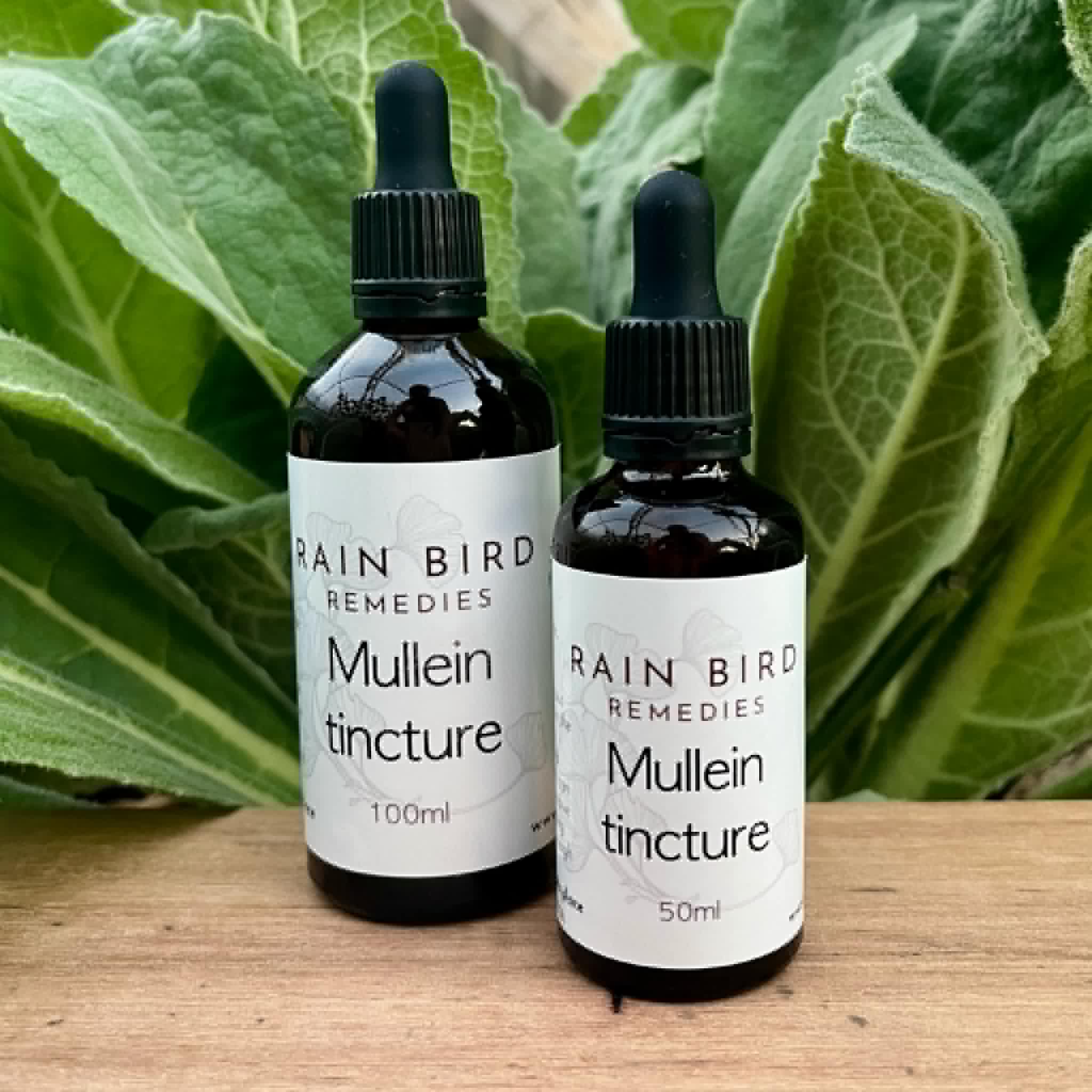 Mullein tincture