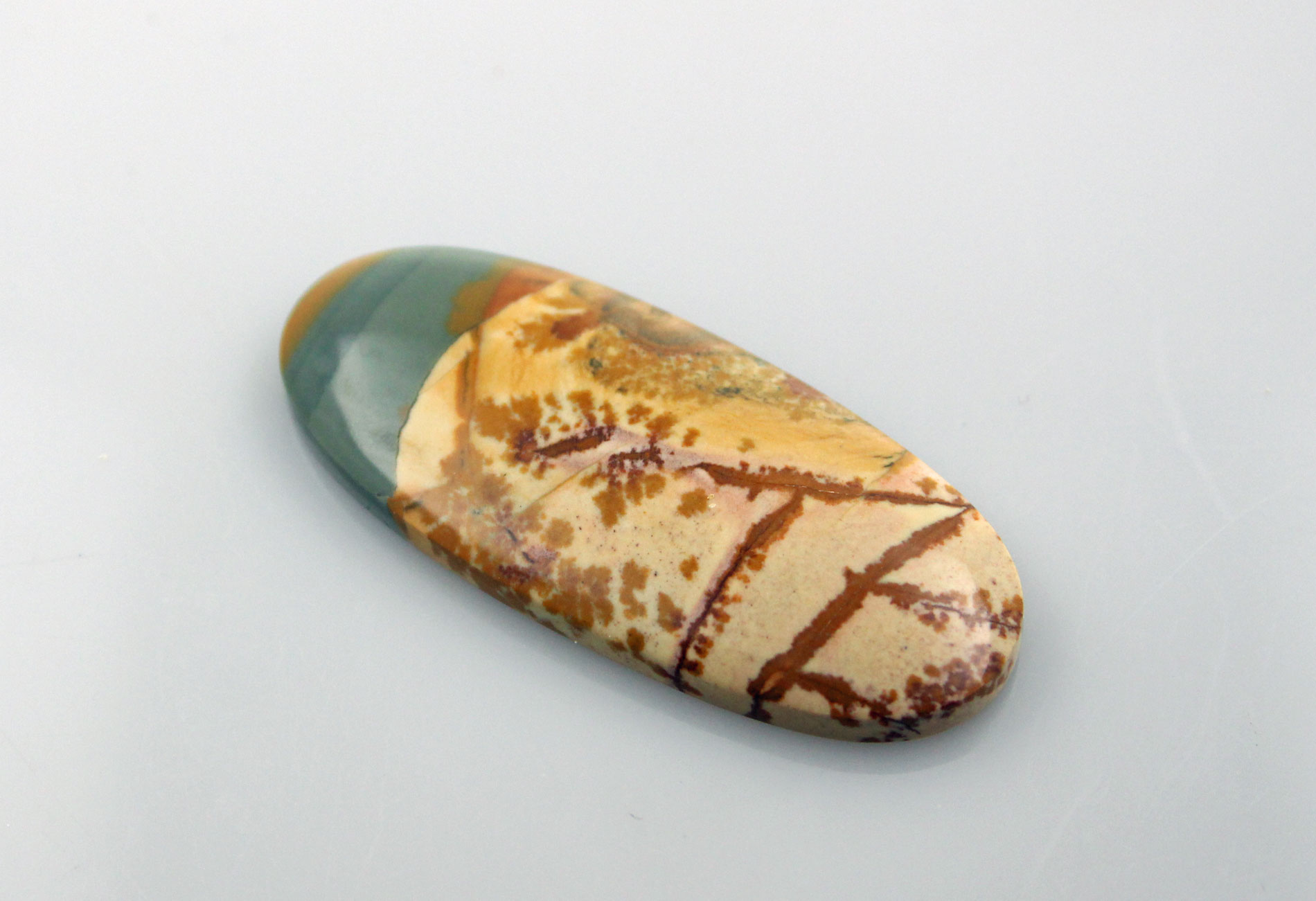 Collectors Huge Owyhee Jasper Cabochon