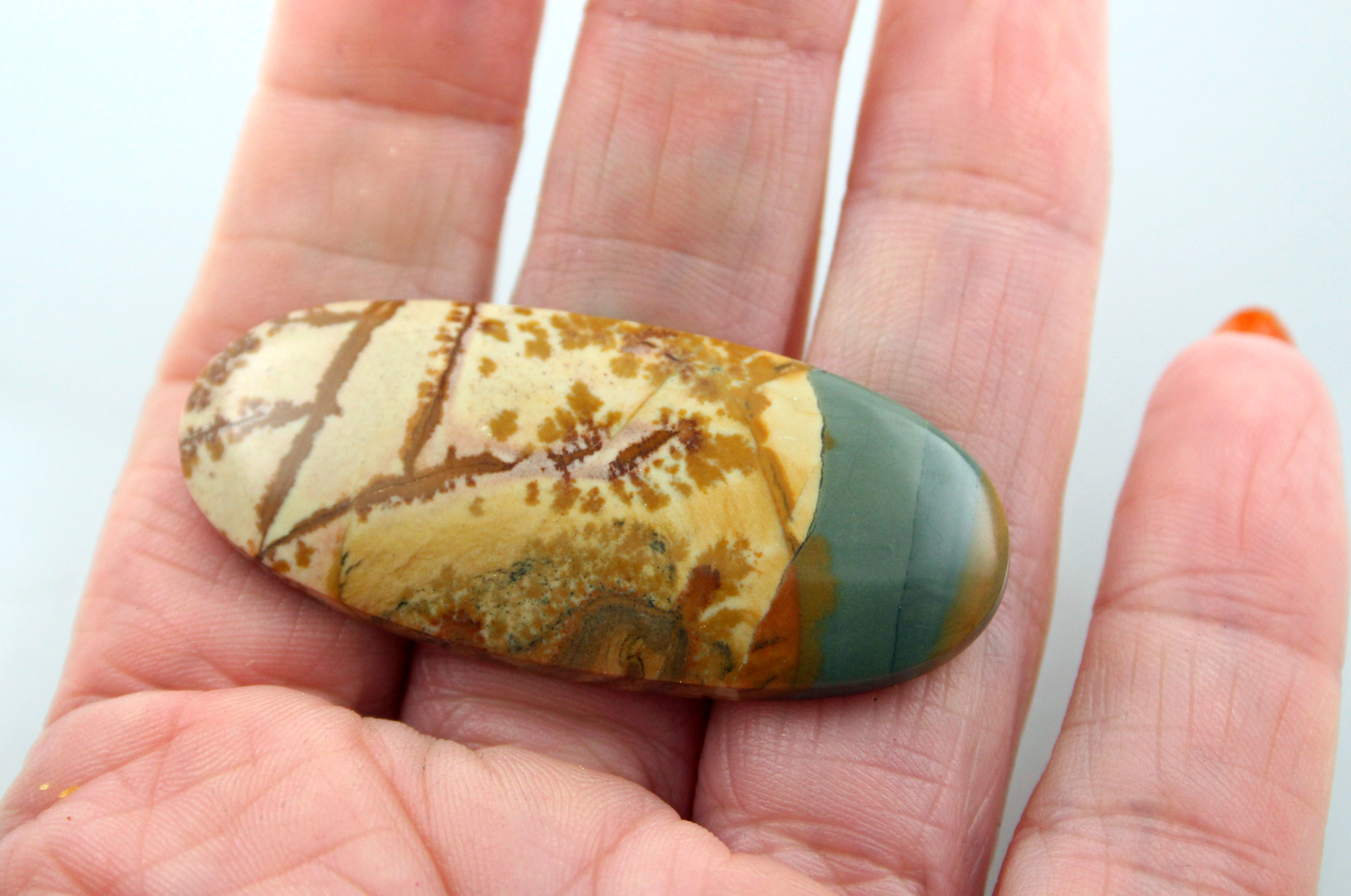 Collectors Huge Owyhee Jasper Cabochon