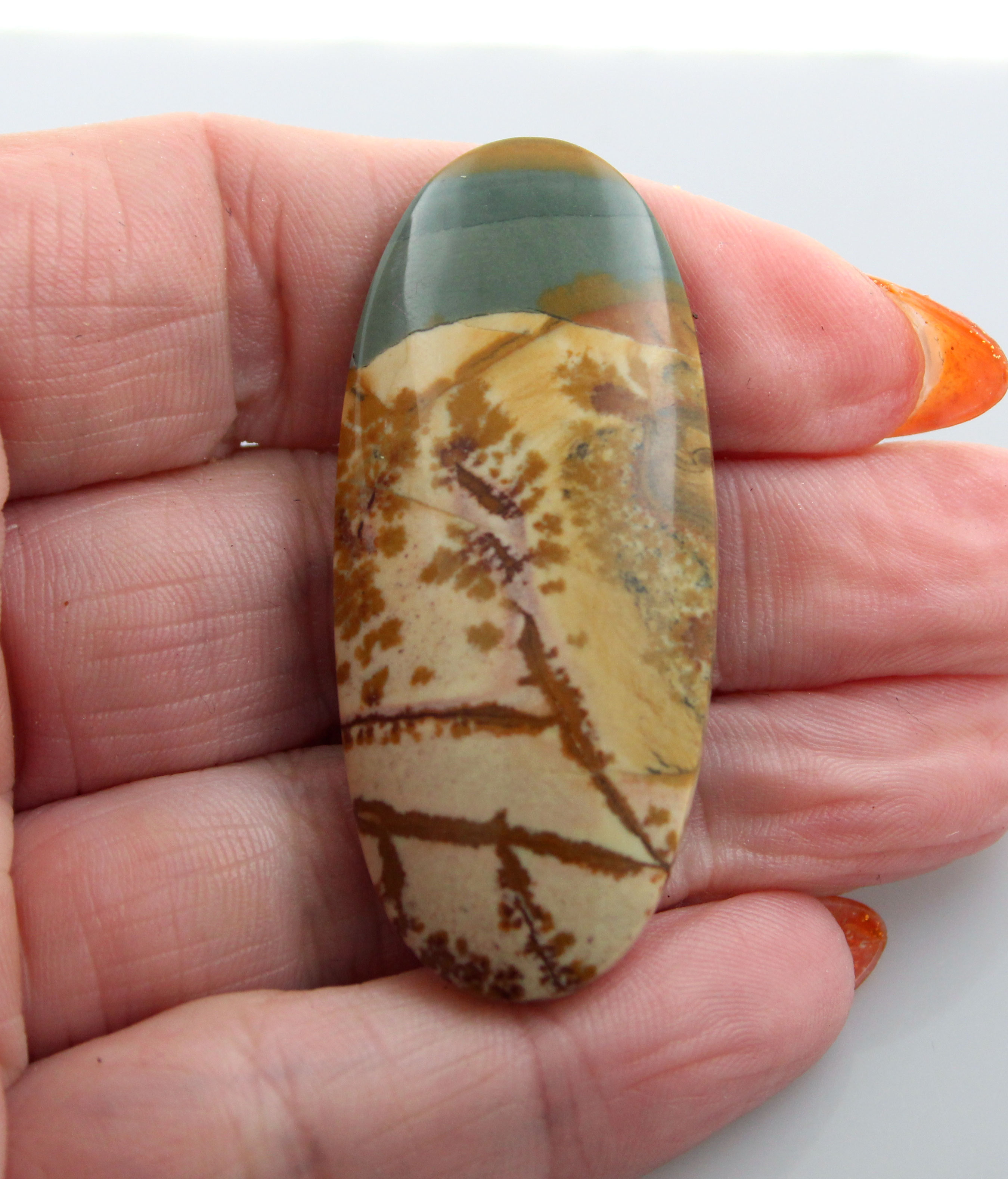 Collectors Huge Owyhee Jasper Cabochon