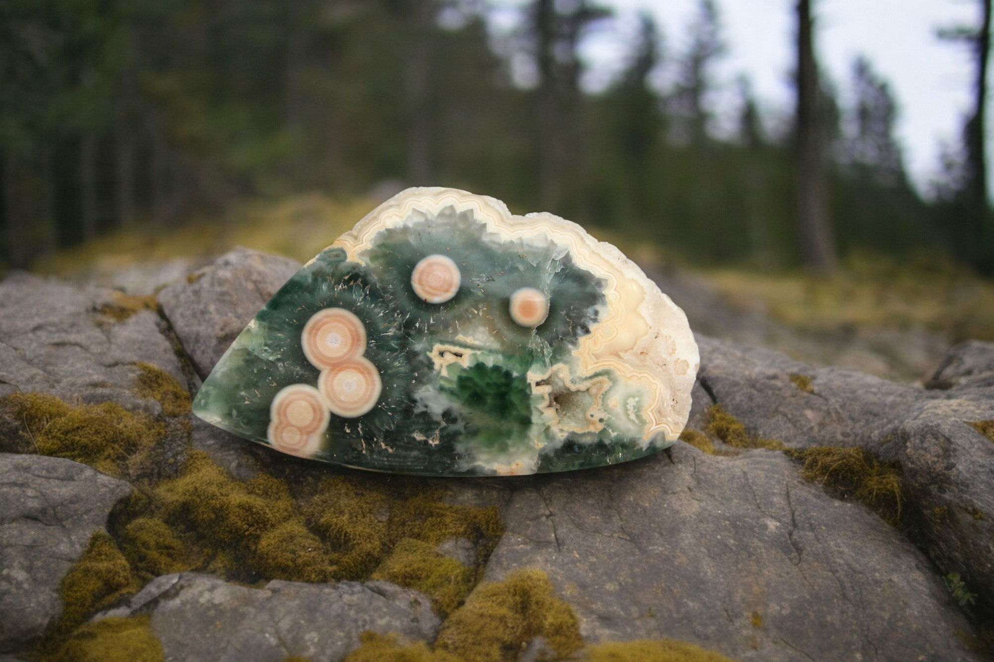 Drusy Collectors Hand cut Rare Ocean Jasper 