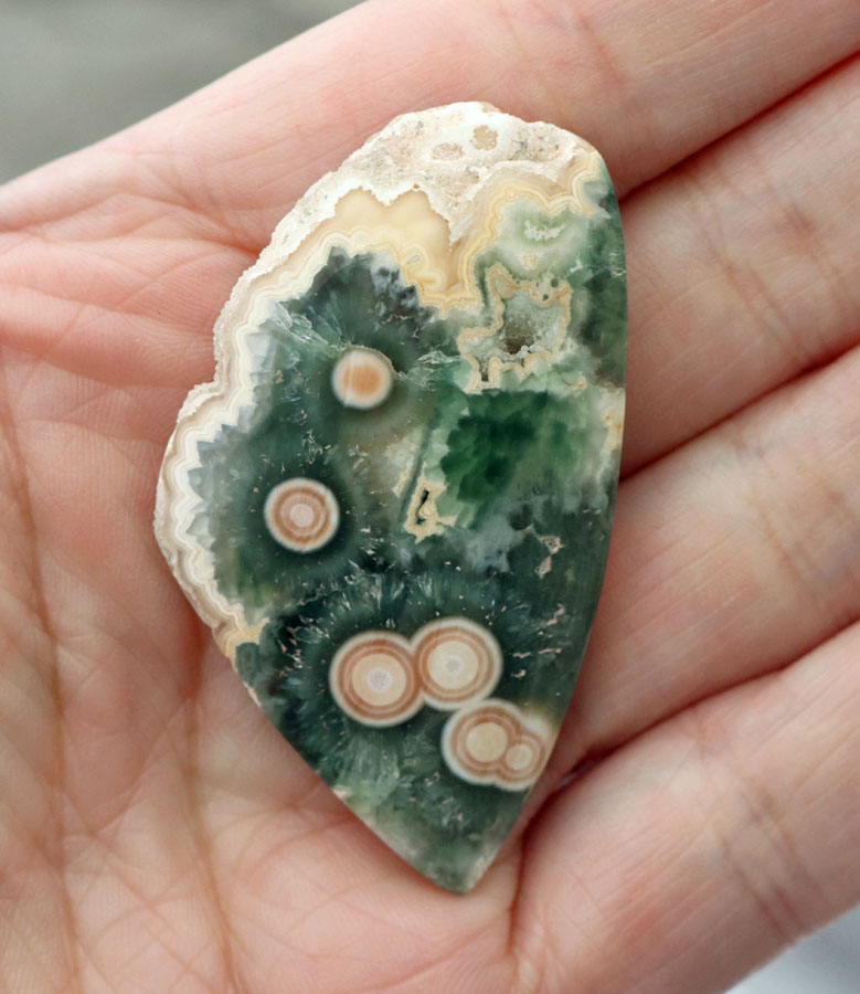 Drusy Collectors Hand cut Rare Ocean Jasper 