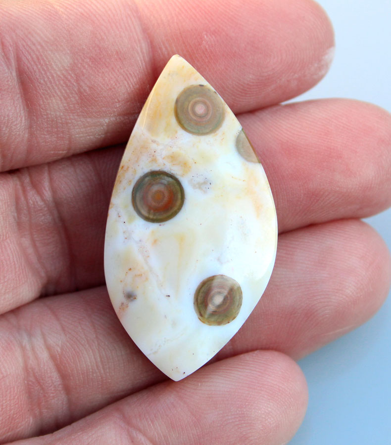 Hand cut Rare Ocean Jasper 