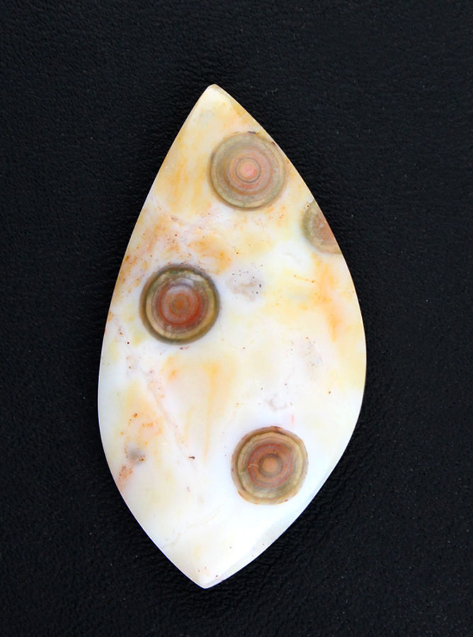 Hand cut Rare Ocean Jasper 