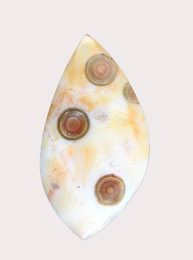 Hand cut Rare Ocean Jasper 
